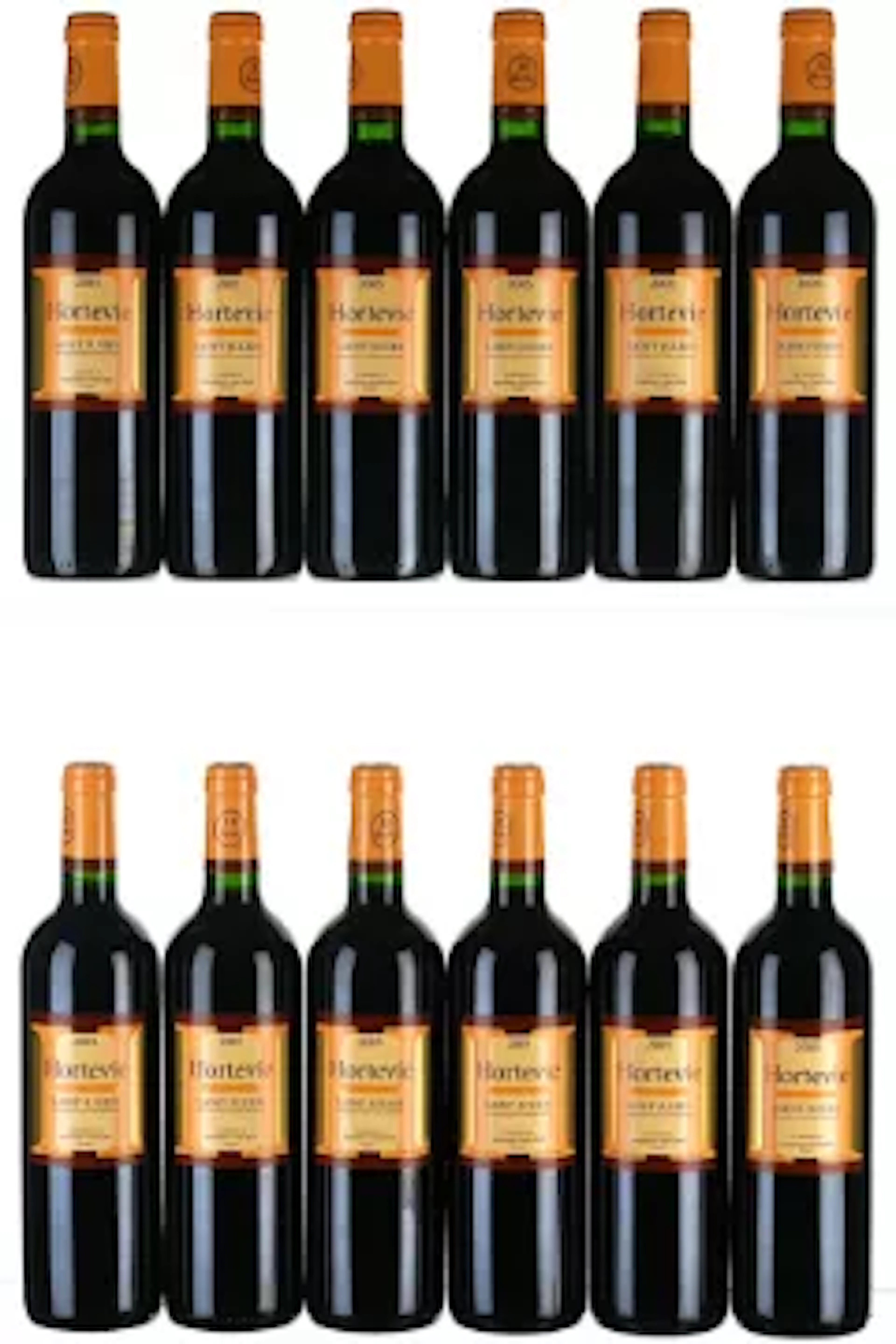 2005 Hortevie, Saint-Julien