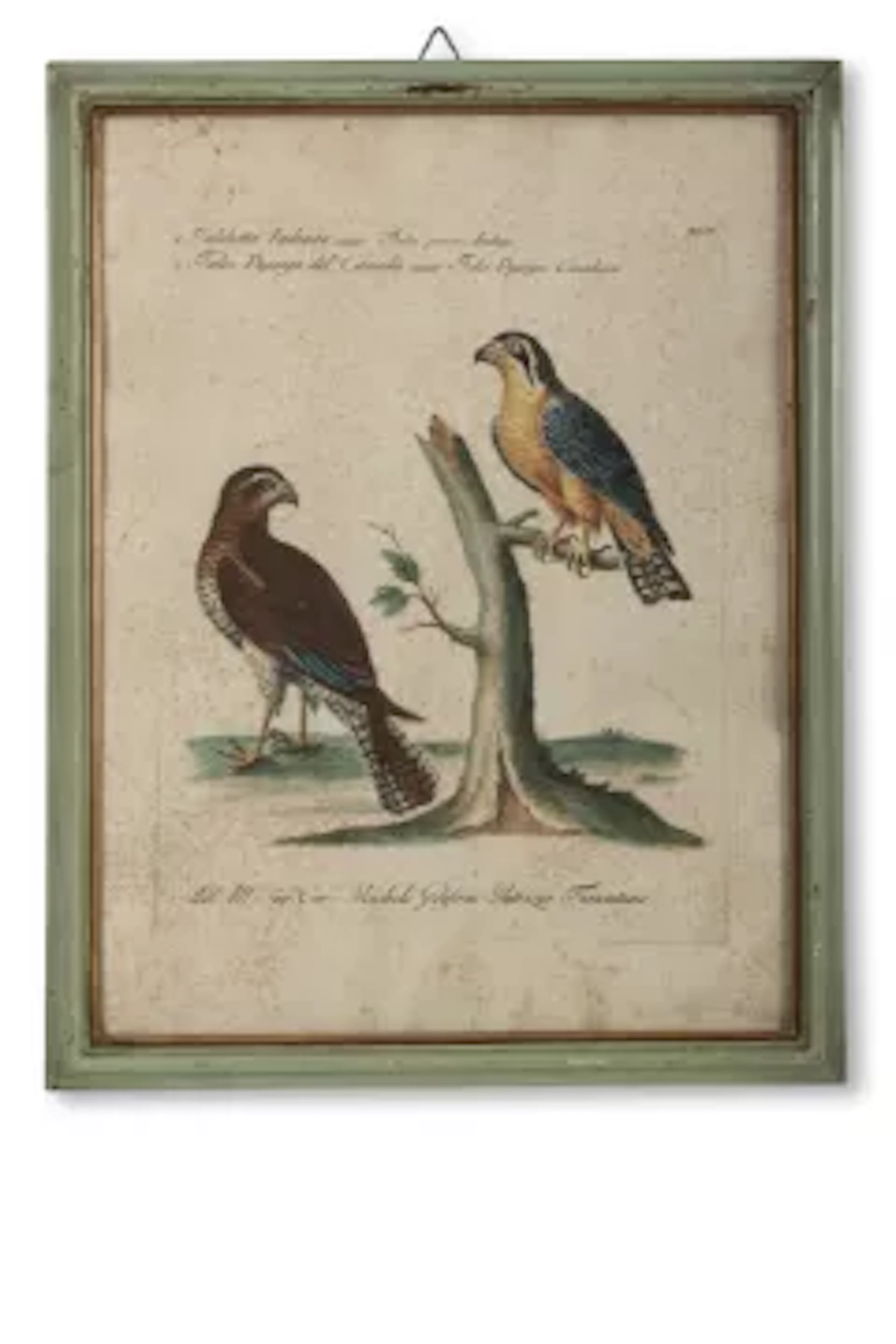 LORENZO LORENZI (ITALIAN 18TH CENTURY), SET OF FOUR HAND-COLOURED
