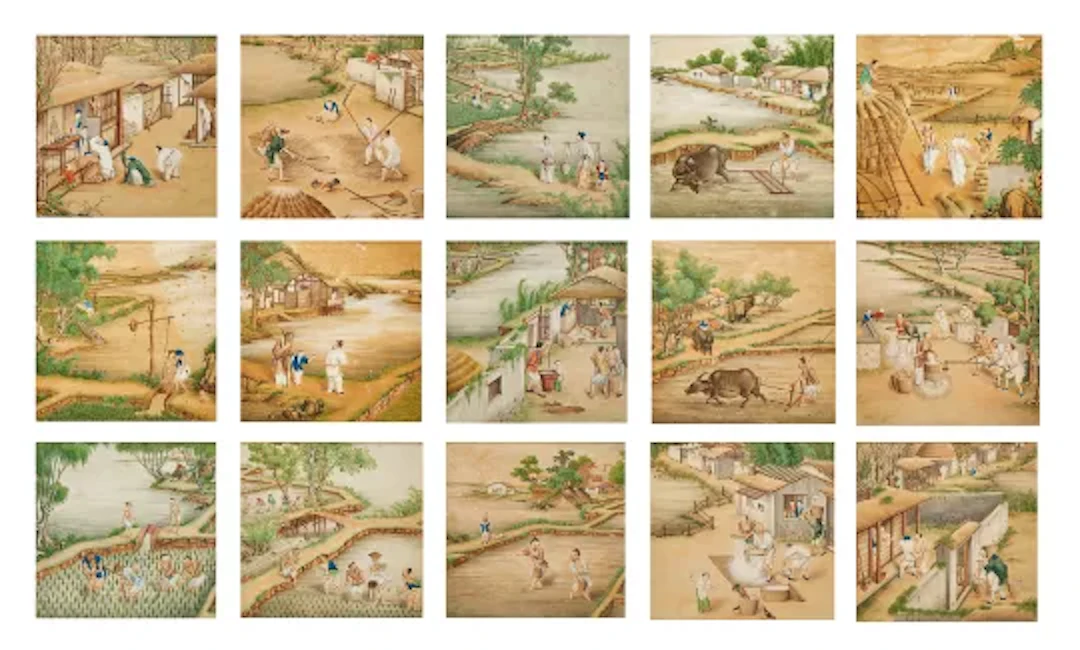 Fifteen Chinese paintings illustrating stages in the production of