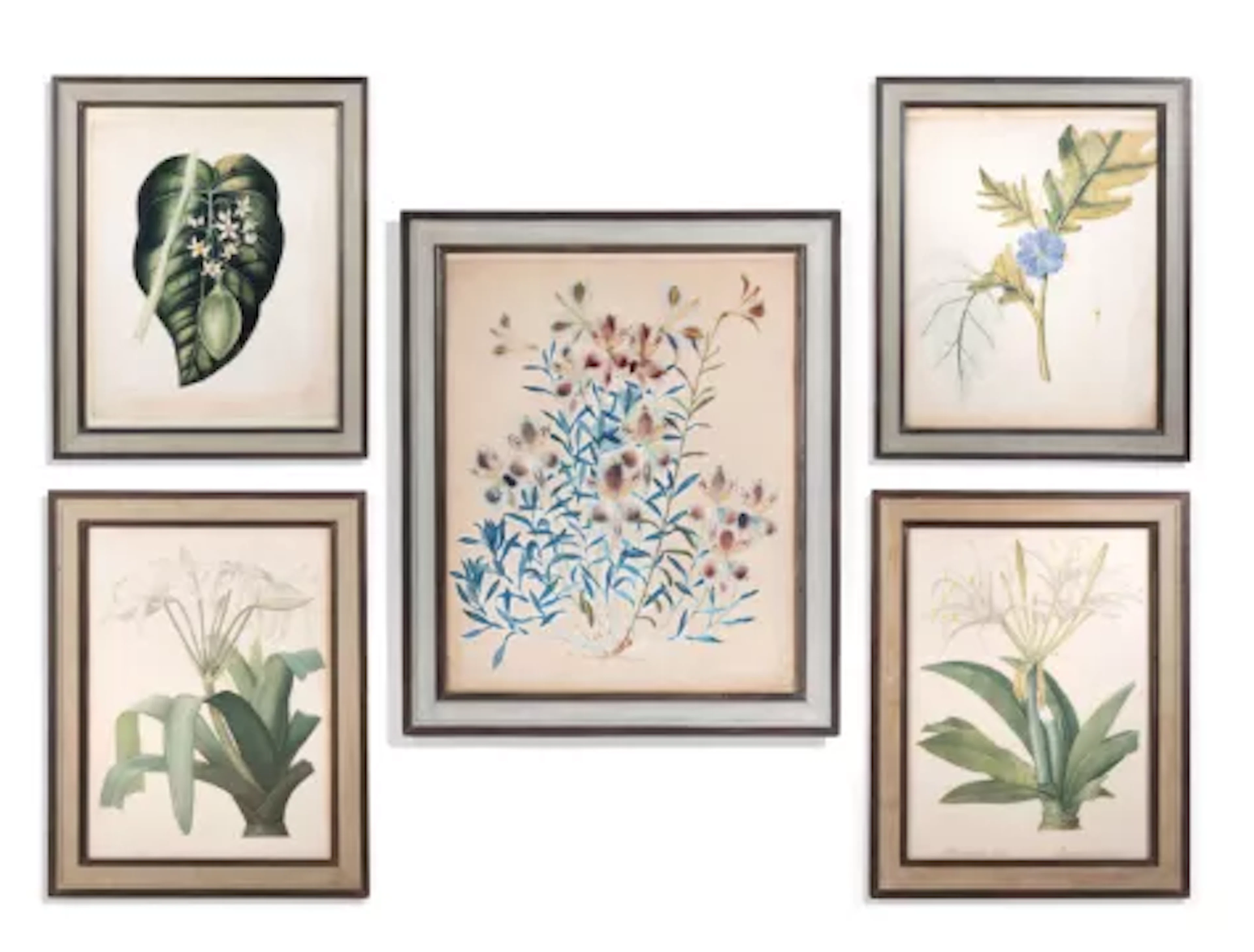 BRITISH SCHOOL (20TH CENTURY) A BOTANICAL STUDY, TOGETHER WITH FOUR