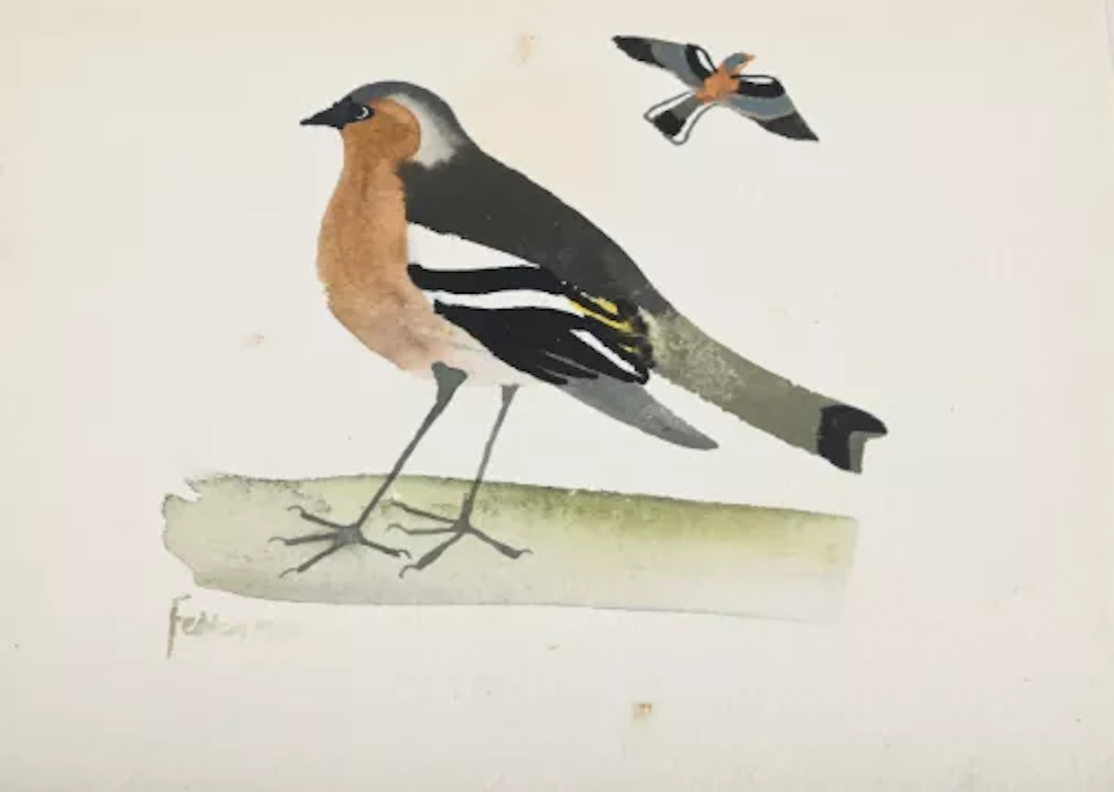λ MARY FEDDEN (BRITISH 1915-2012), CHAFFINCH