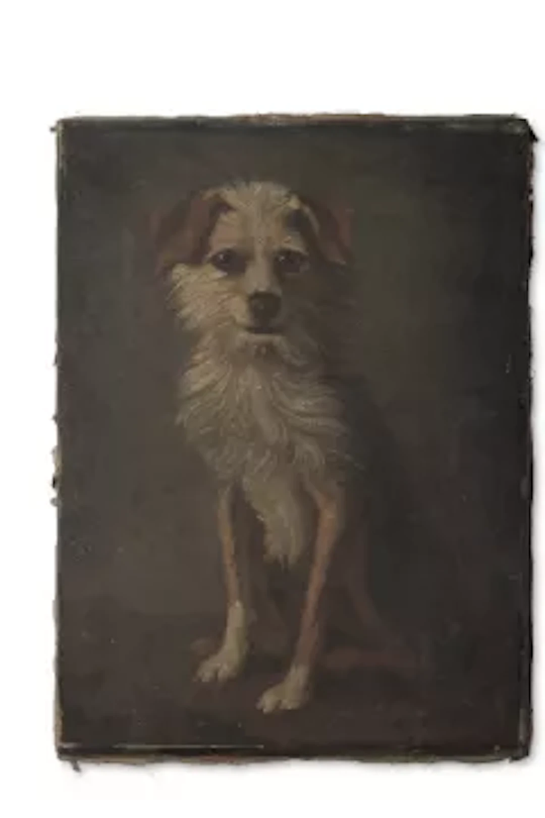 ENGLISH SCHOOL (19TH CENTURY), PORTRAIT OF A TERRIER
