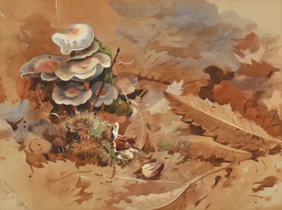 ARCHIBALD THORBURN (SCOTTISH 1860-1935), MUSHROOMS