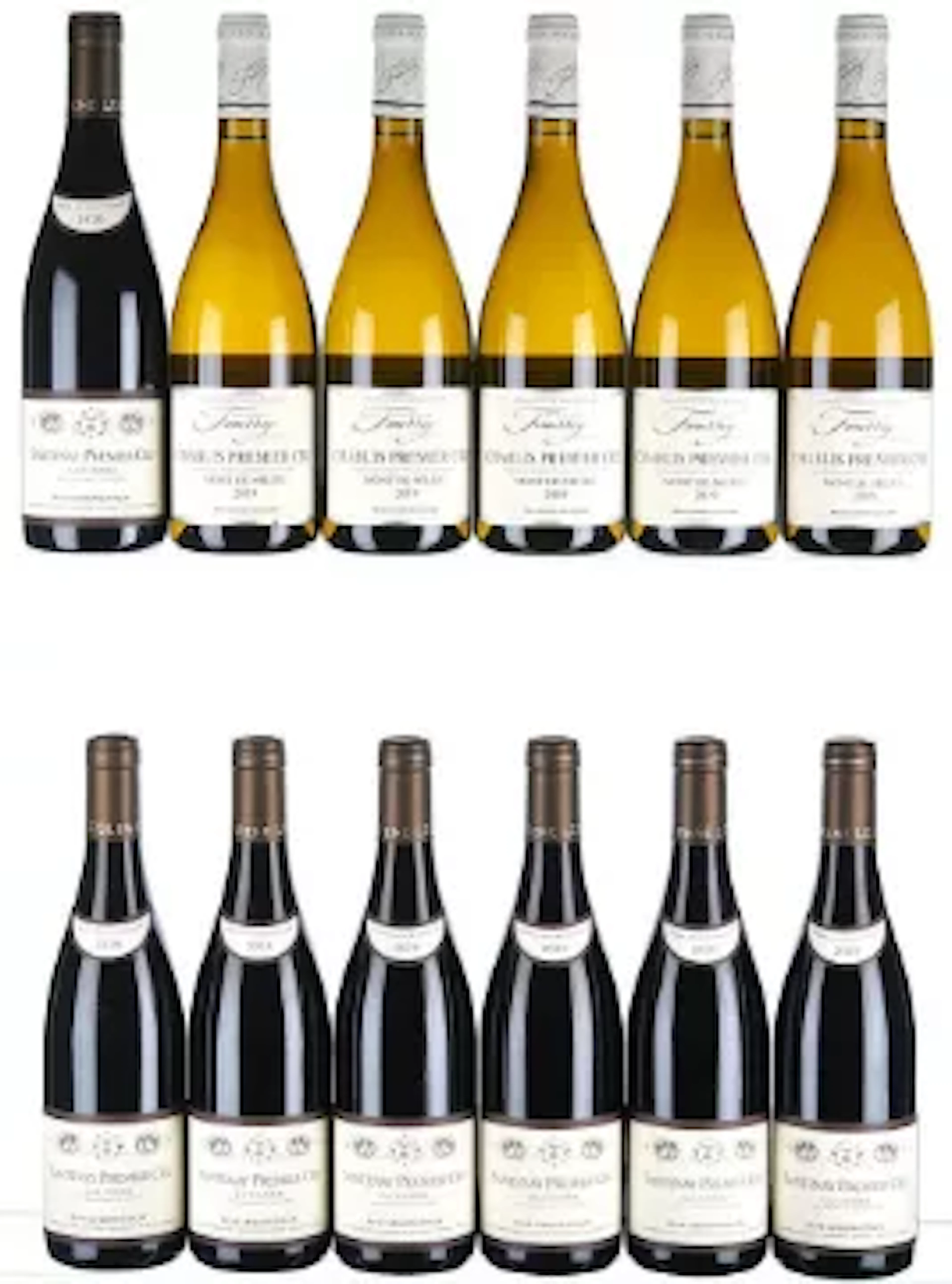 2019/2020 Mixed Lot of Red and White Premier Cru Burgundy