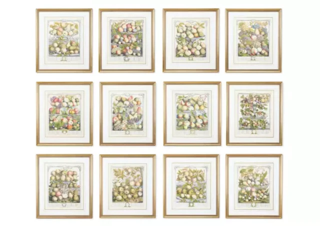 AFTER PIETER CASTEELS III, THE MONTHS OF THE YEAR IN FRUIT