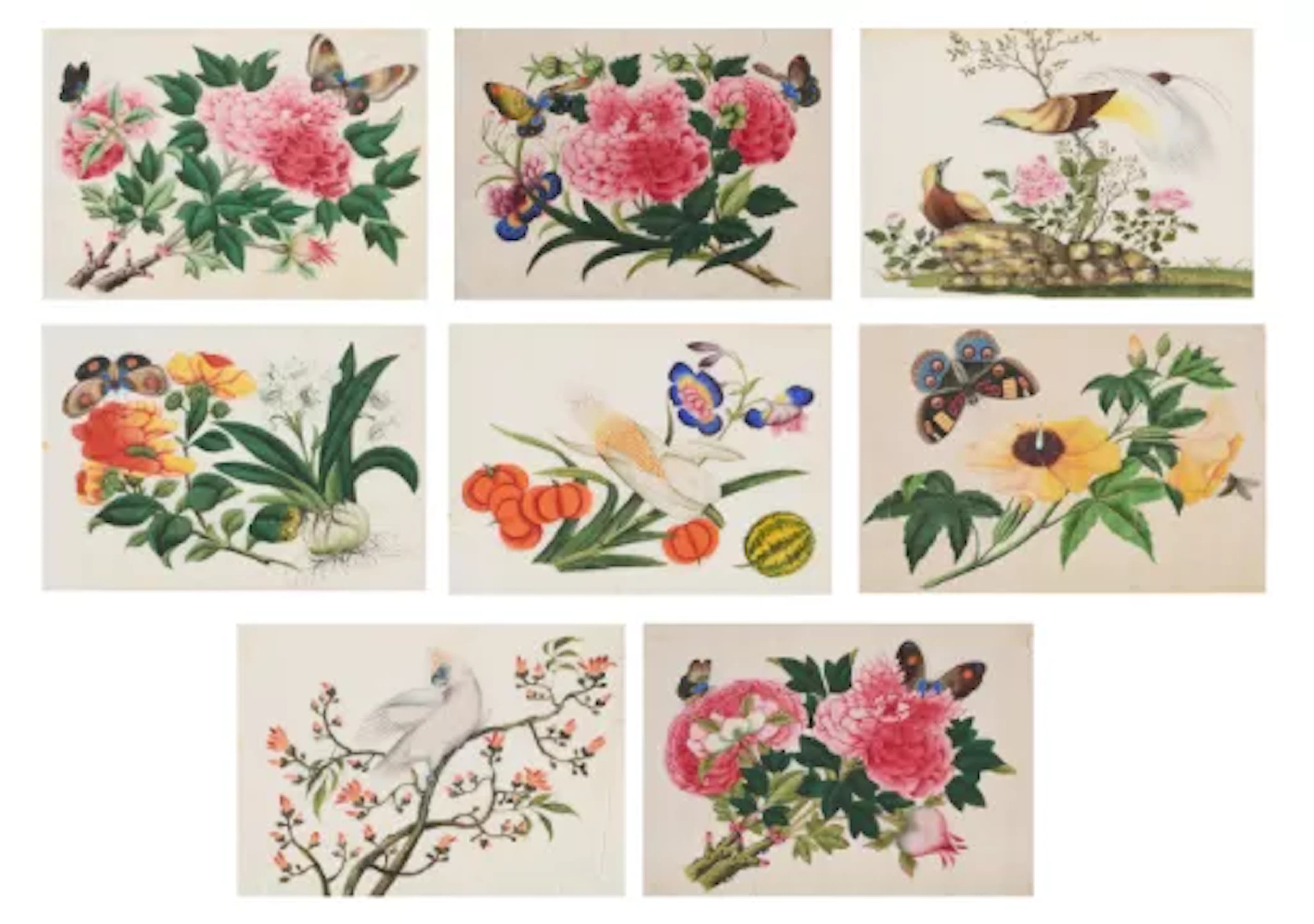 A SET OF EIGHT CHINESE RICE PAPER PAINTINGS, 19TH CENTURY
