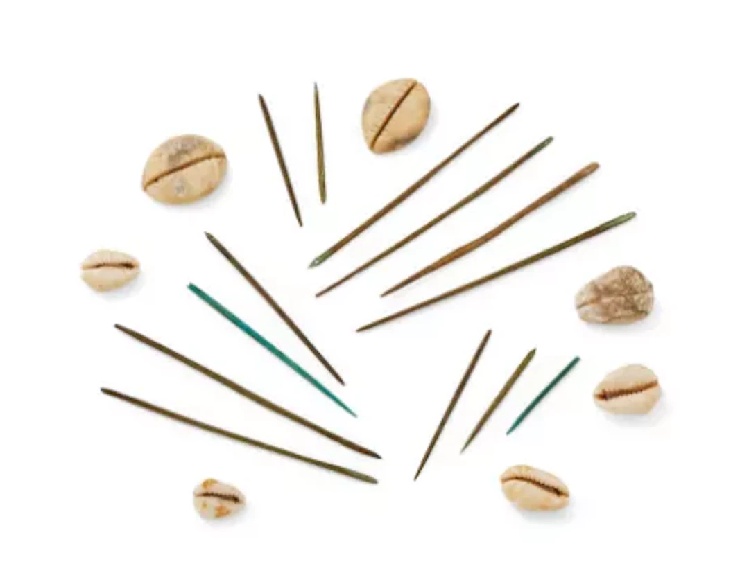 A group of Chinese bone needles and shells, Shang Dynasty