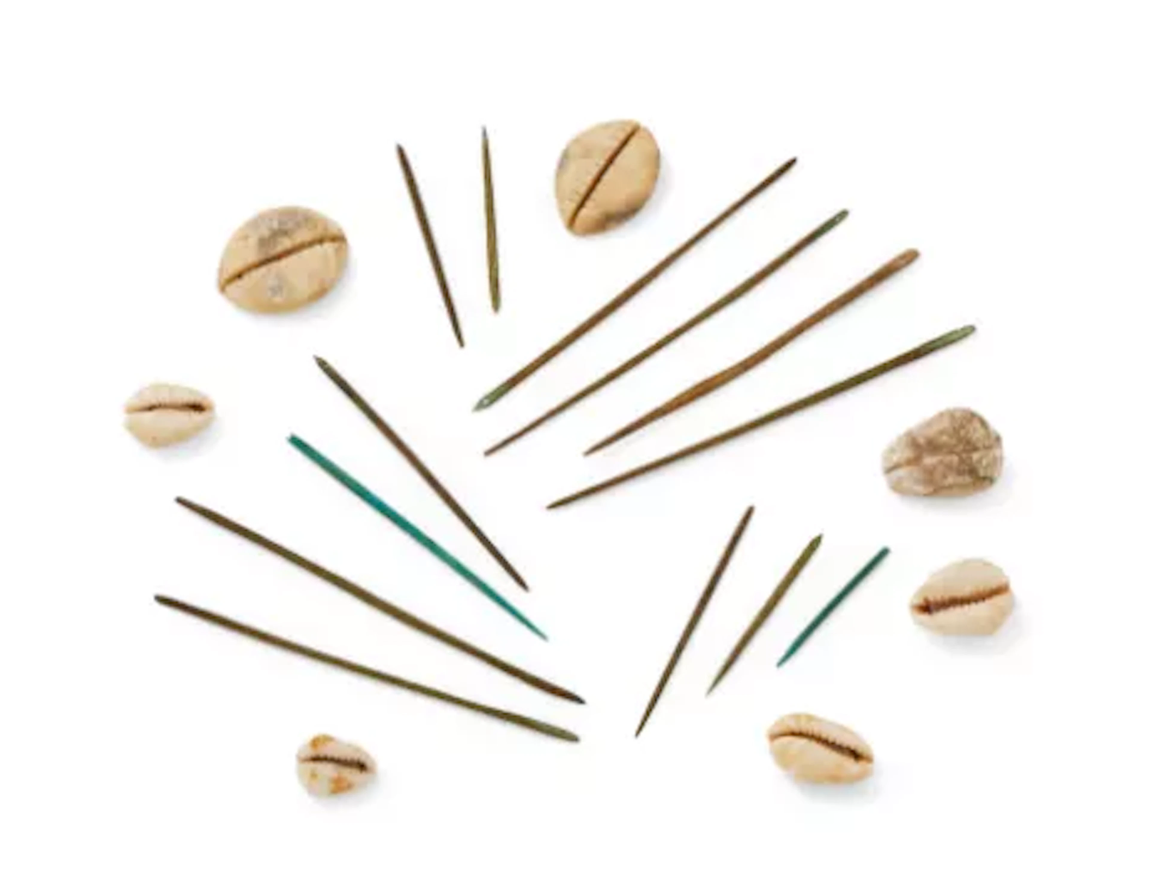 A group of Chinese bone needles and shells, Shang Dynasty