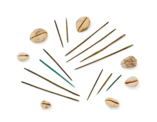 A group of Chinese bone needles and shells, Shang Dynasty