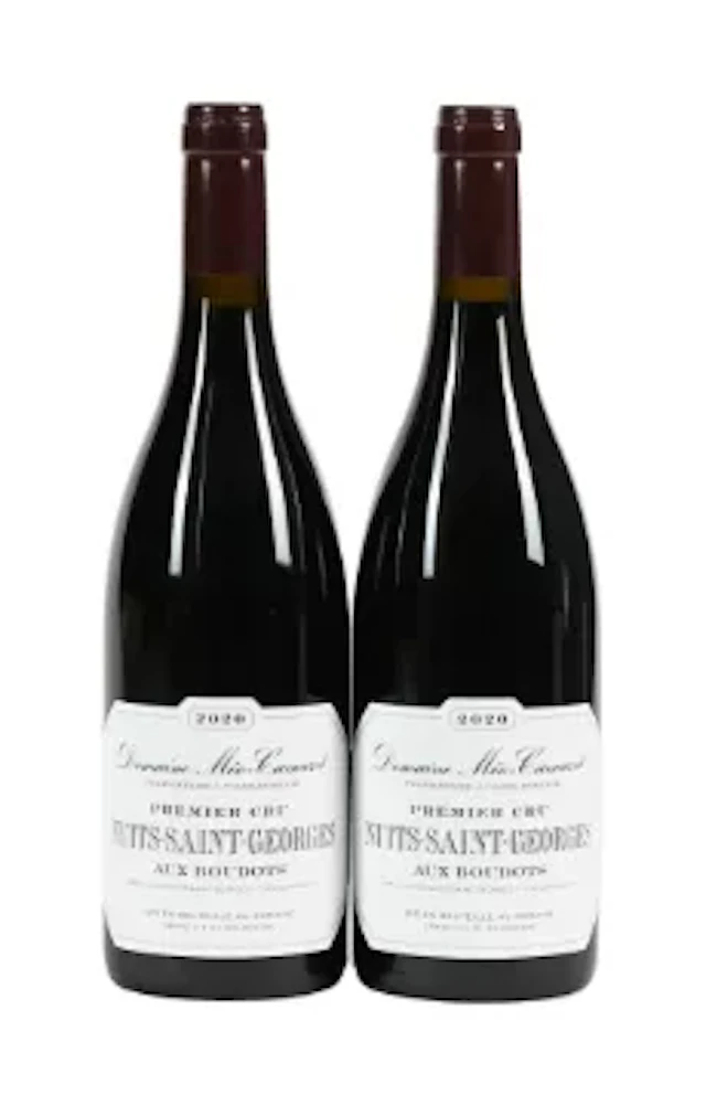 2020 Domaine Meo Camuzet, Nuits-Saint-Georges Premier Cru, Aux Boudots