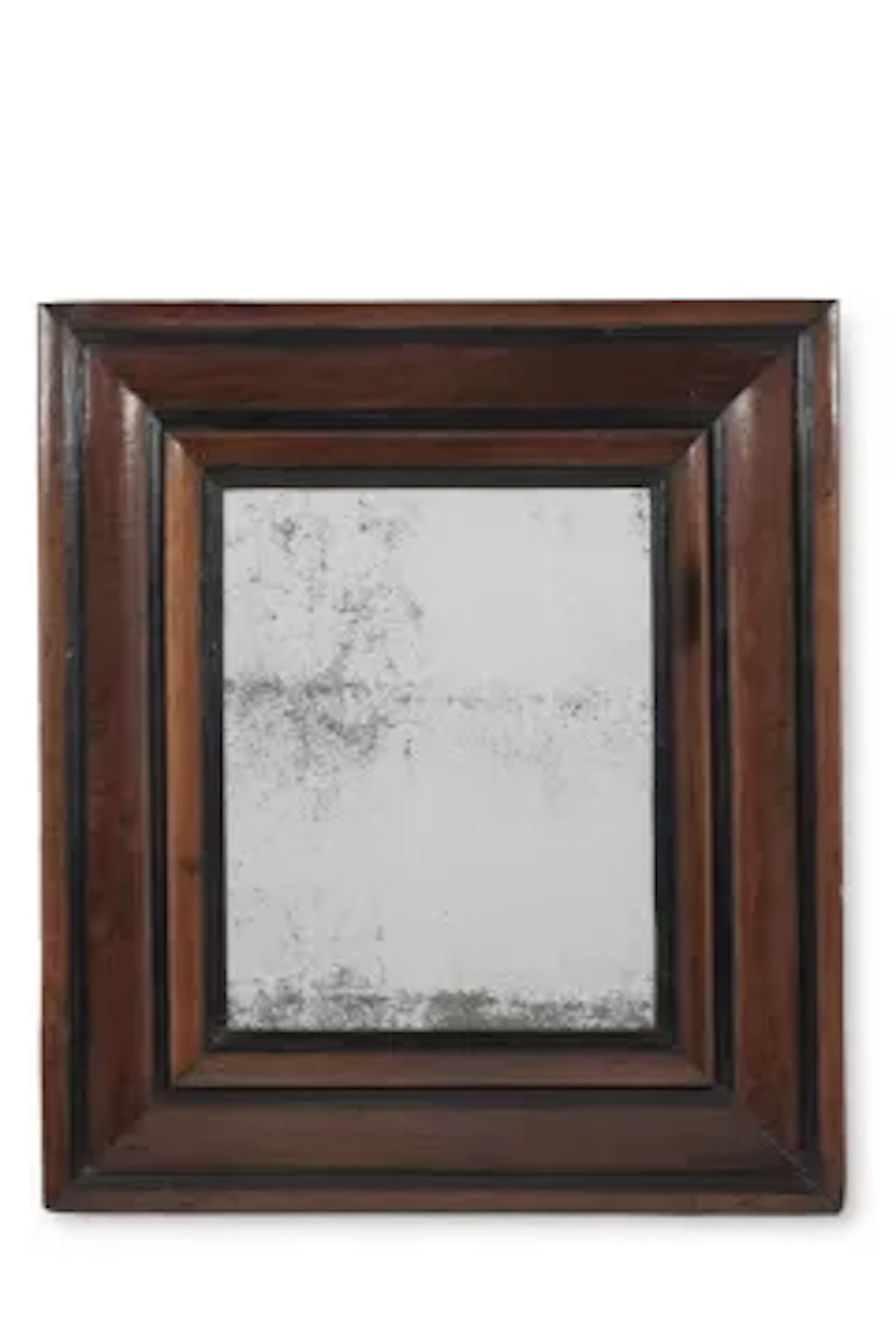 A WALNUT AND EBONISED FRAMED MIRROR, 19TH CENTURY