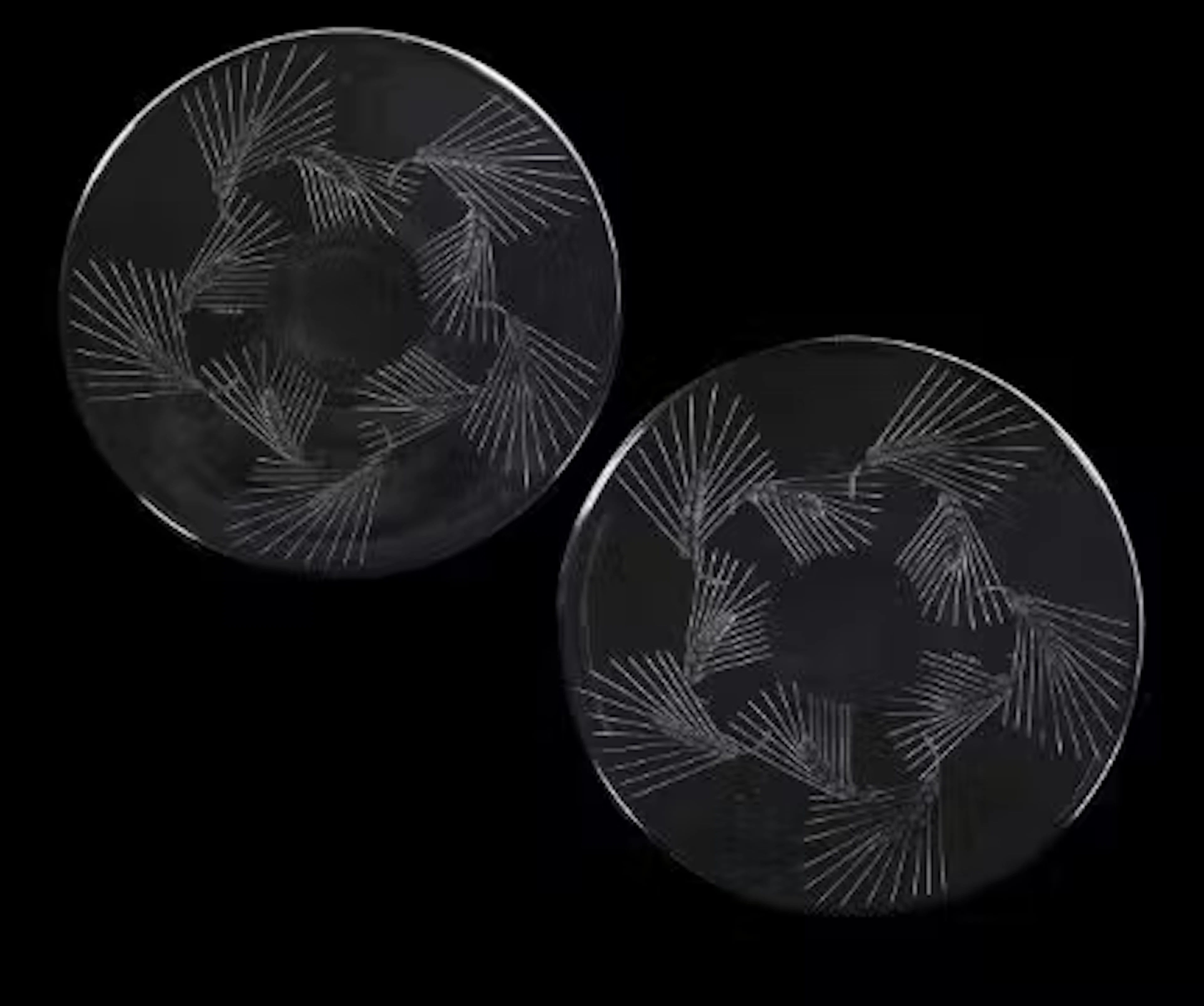 RENÉ LALIQUE (FRENCH, 1860-1945), PAIR OF 'ARRAS' PLATES; DESIGNED