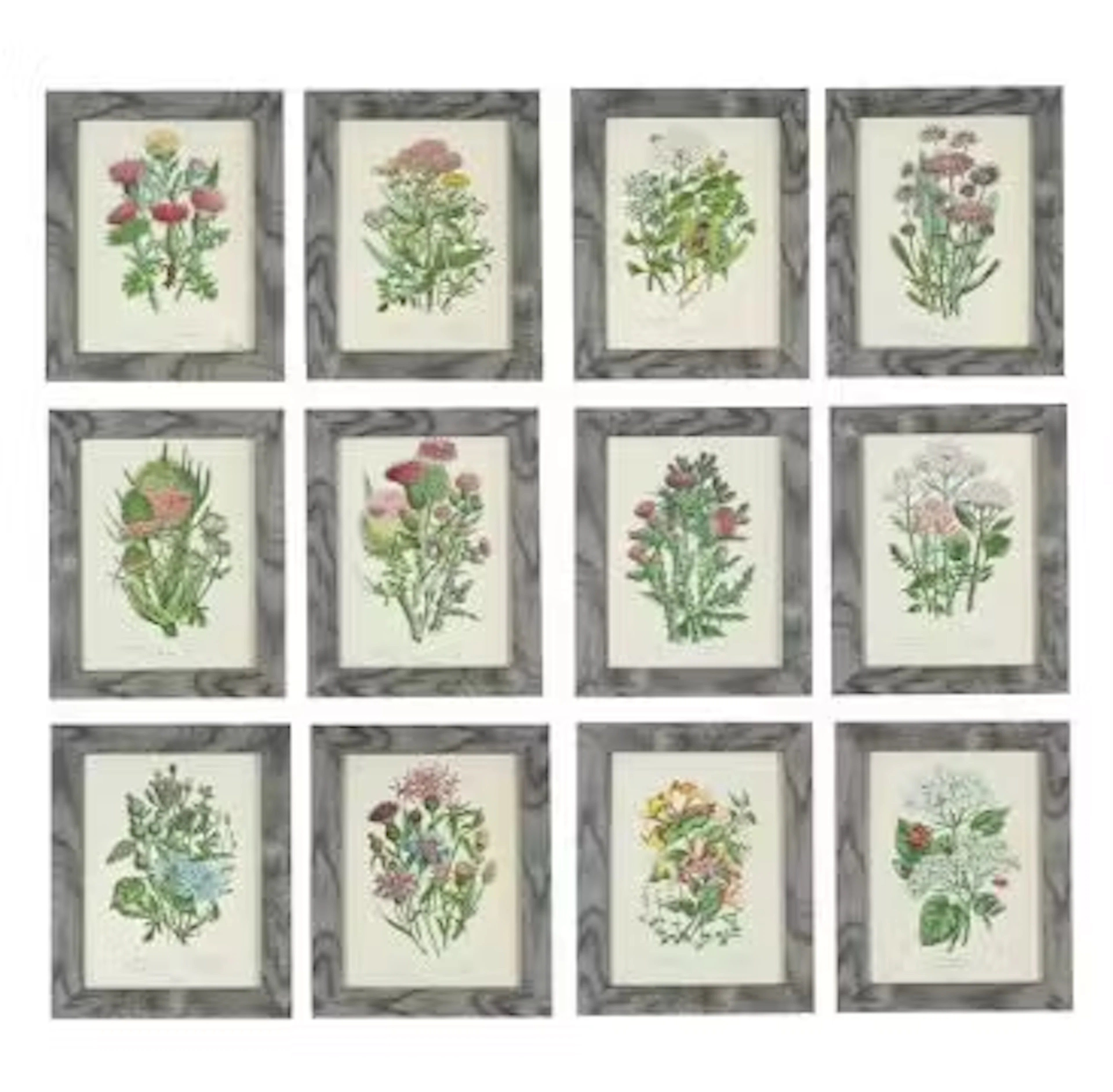 AFTER ANNE PRATT, TWELVE PRINTS AFTER ILLUSTRATIONS FROM THE FLOWERING PLANTS