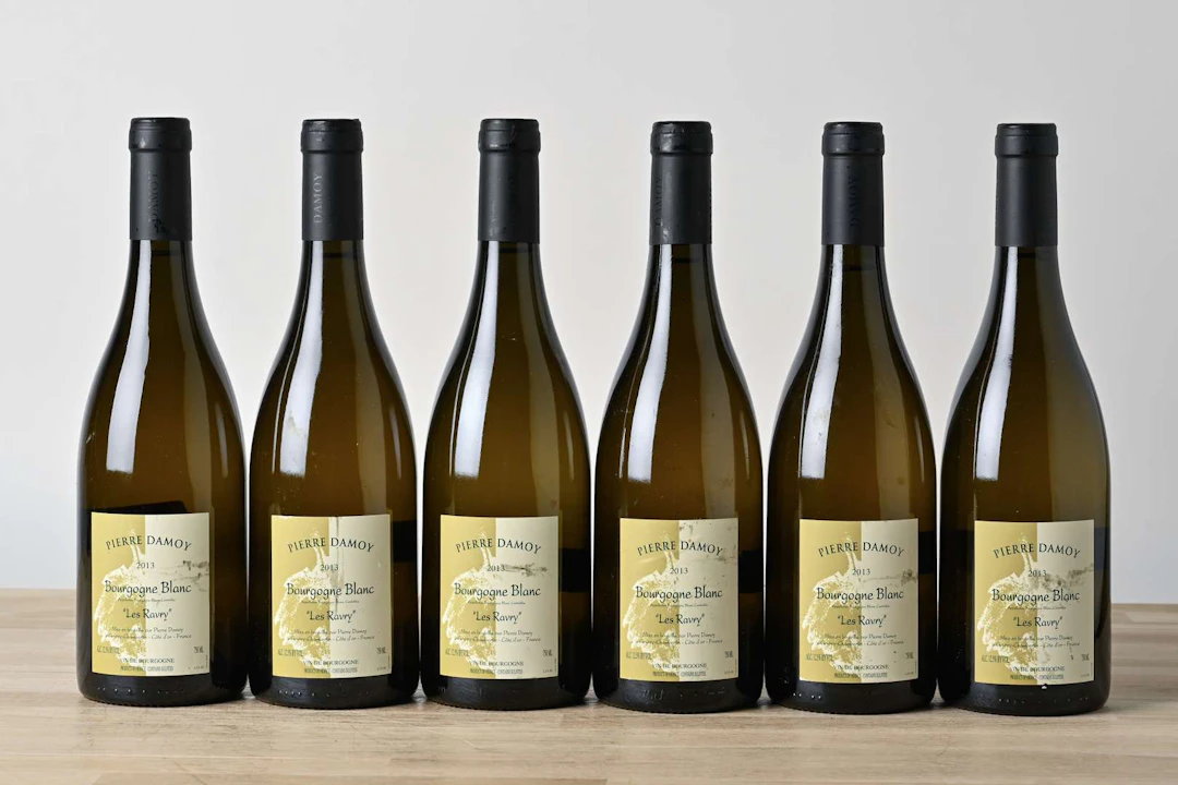 Domaine Pierre Damoy