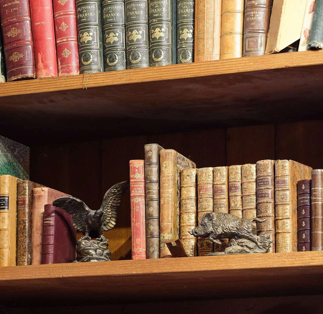 [ANIMAL-RELATED TOPICS], in bronze and patinated metal