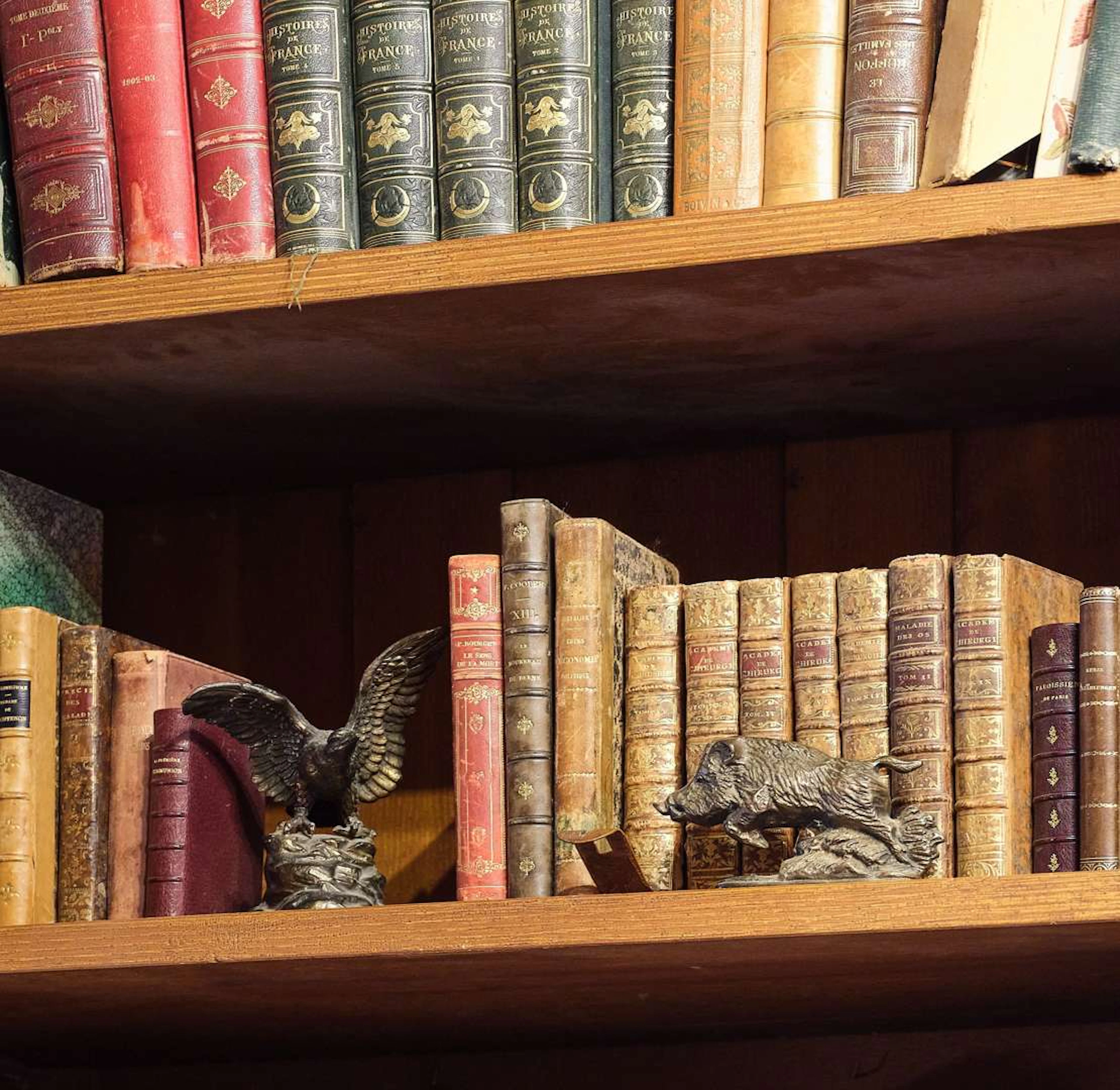 [ANIMAL-RELATED TOPICS], in bronze and patinated metal