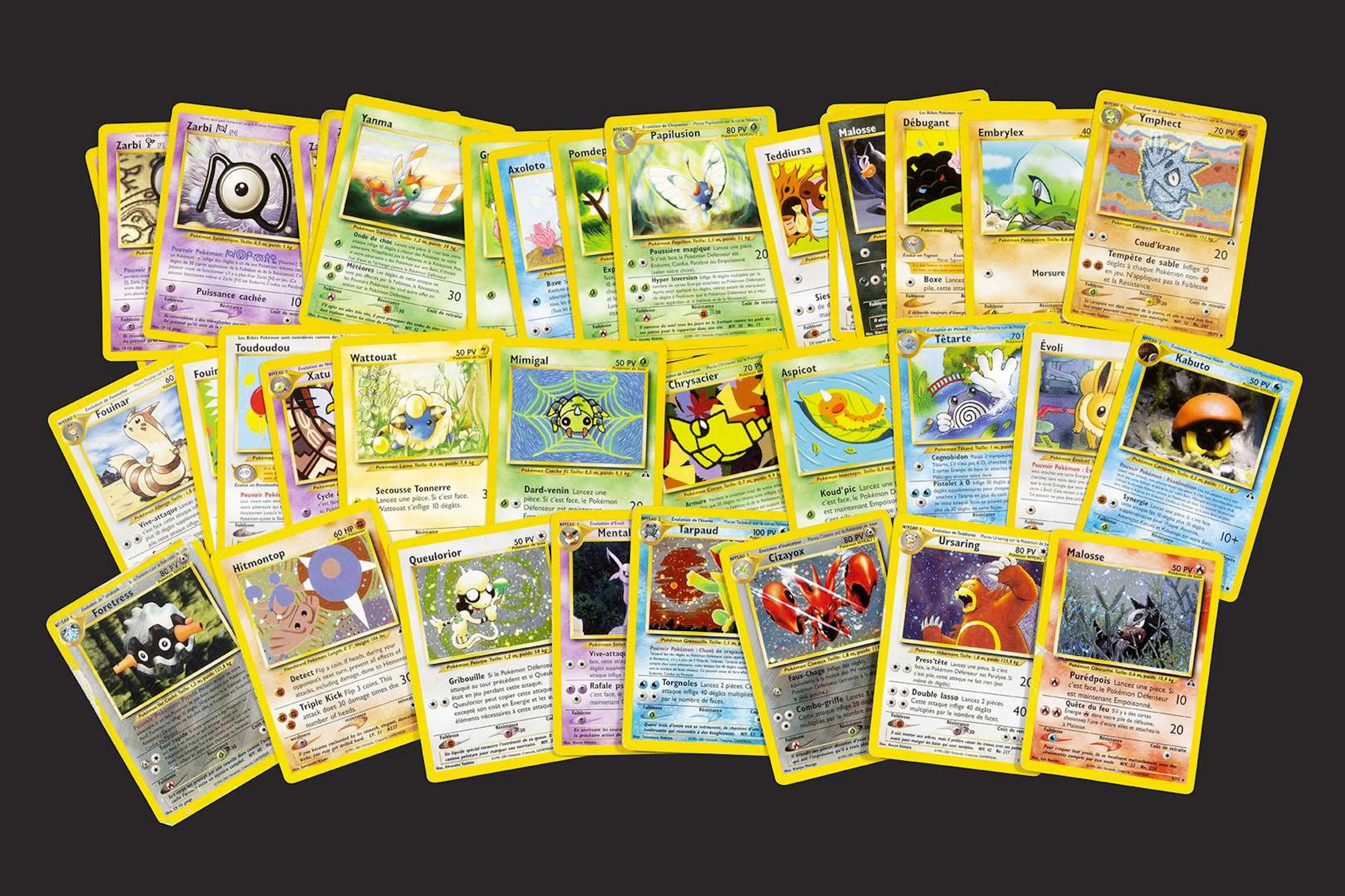 Pokémon: Neo Discovery, Neo Discovery