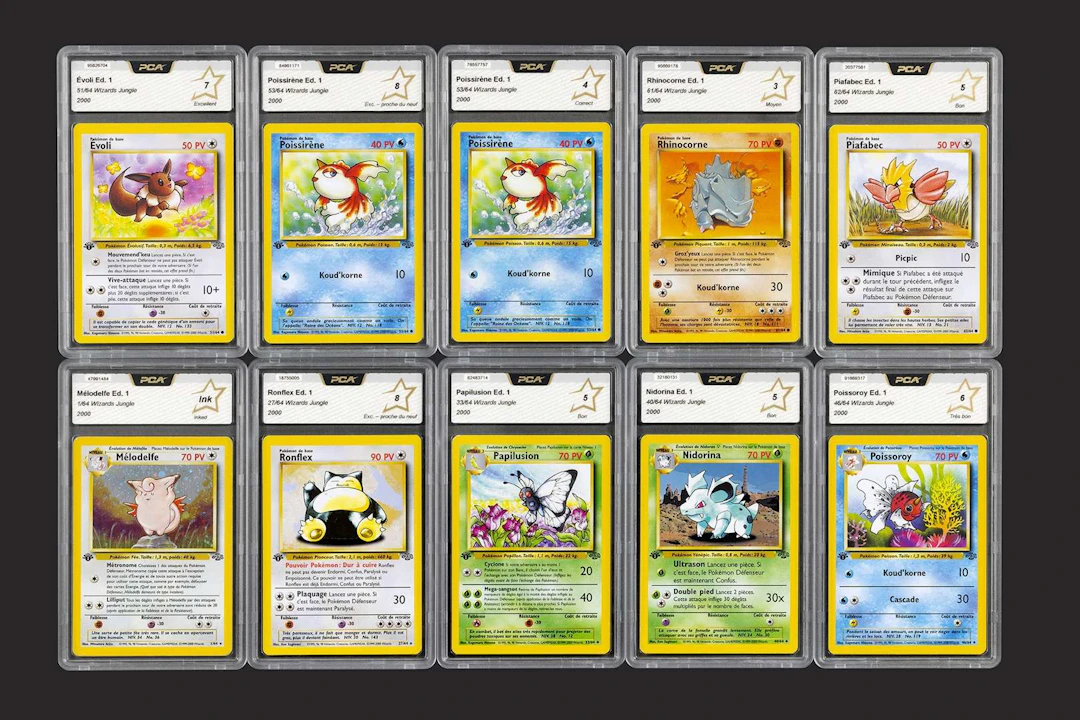 Pokémon: Jungle