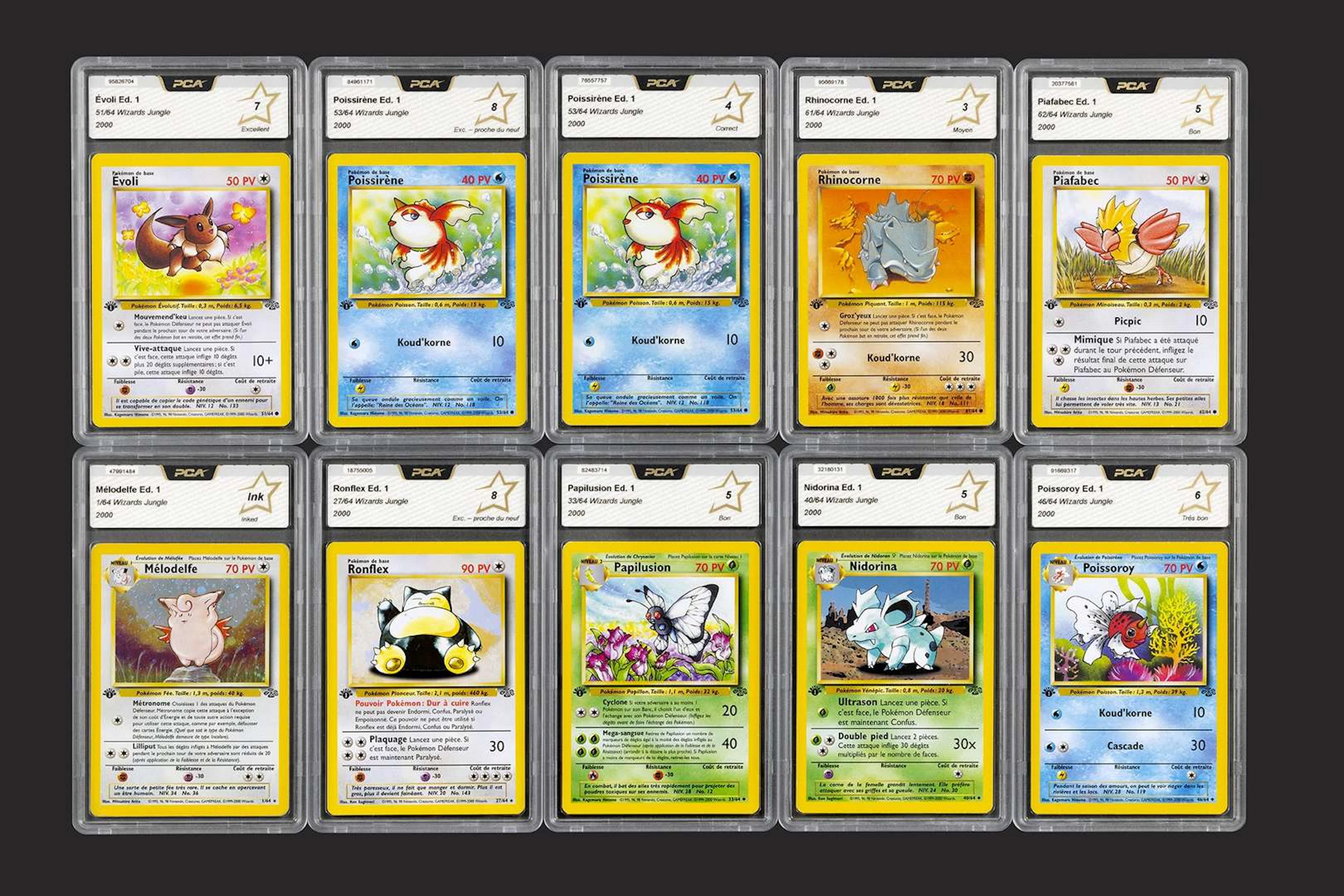 Pokémon: Jungle