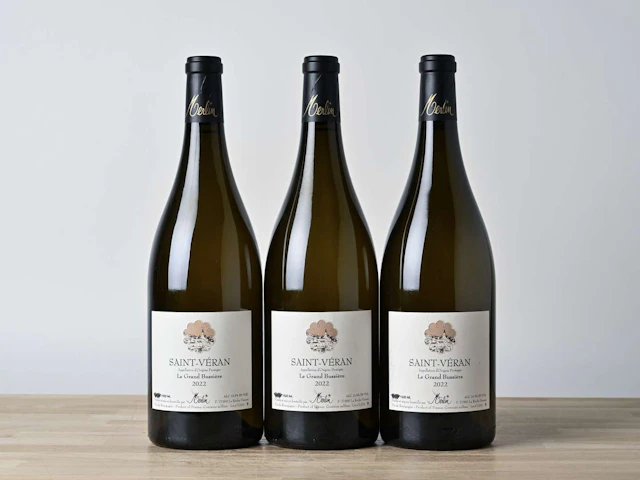 Domaine Merlin