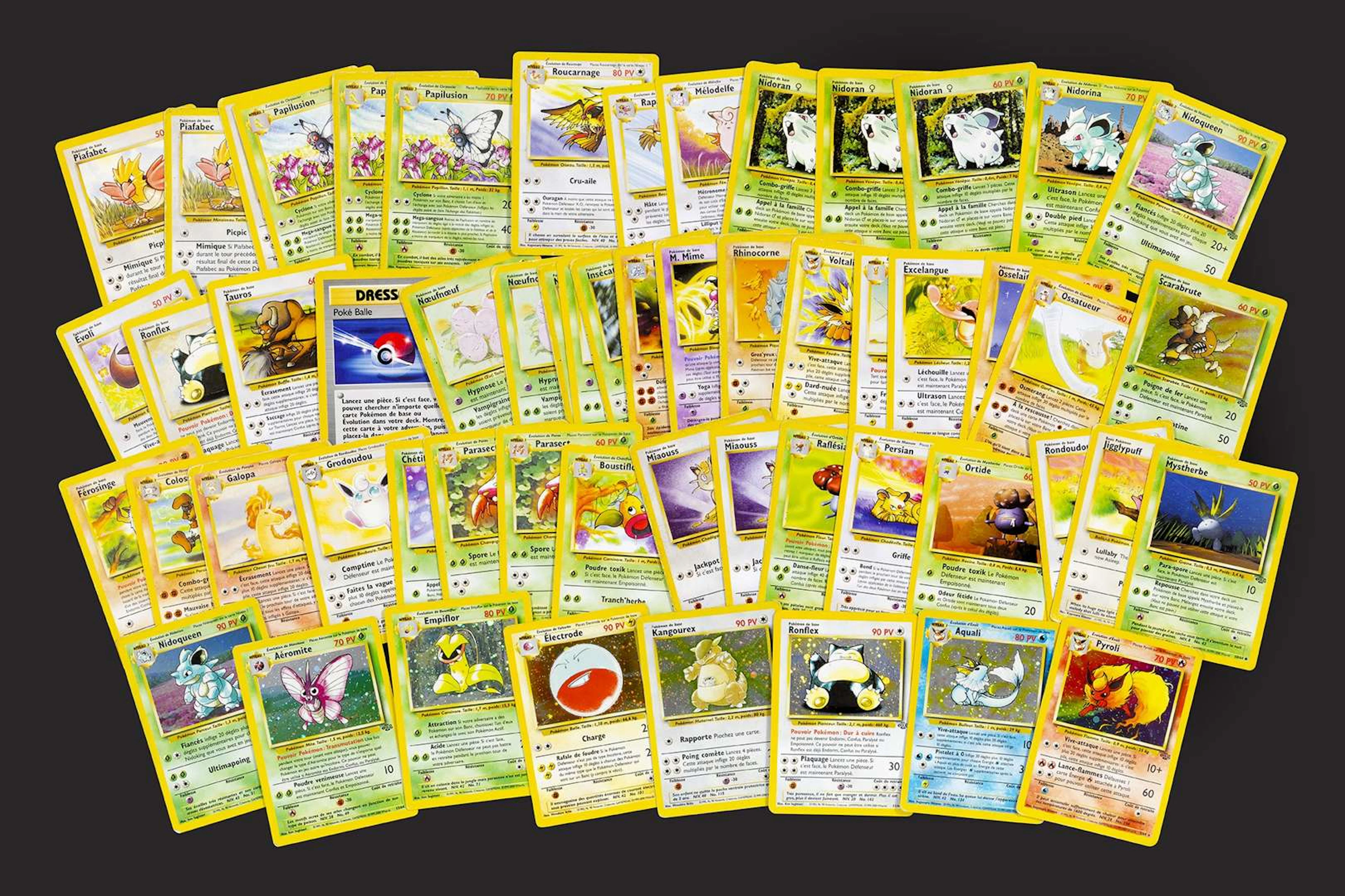 Pokémon: Jungle, Jungle