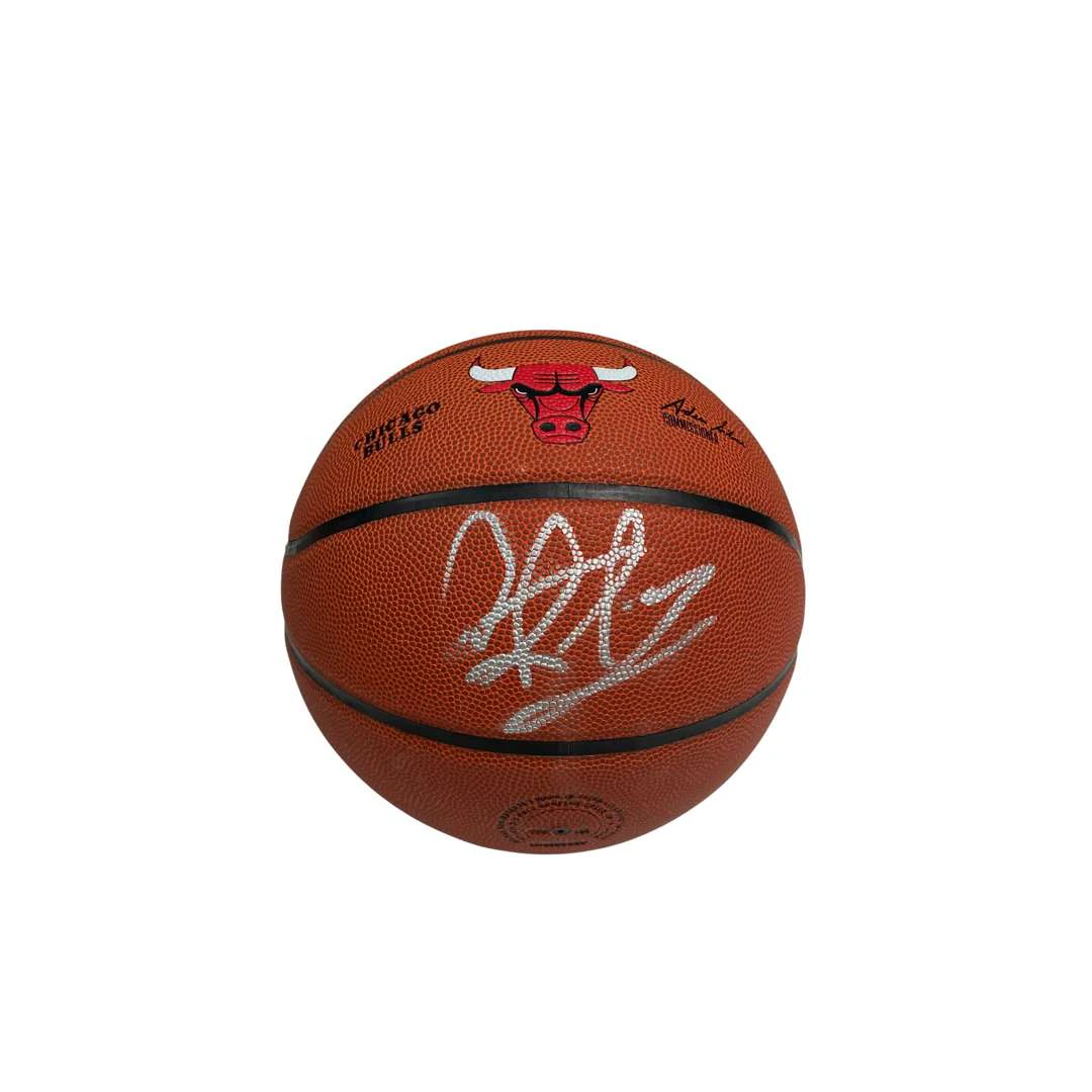 Basketball: Denis RODMAN