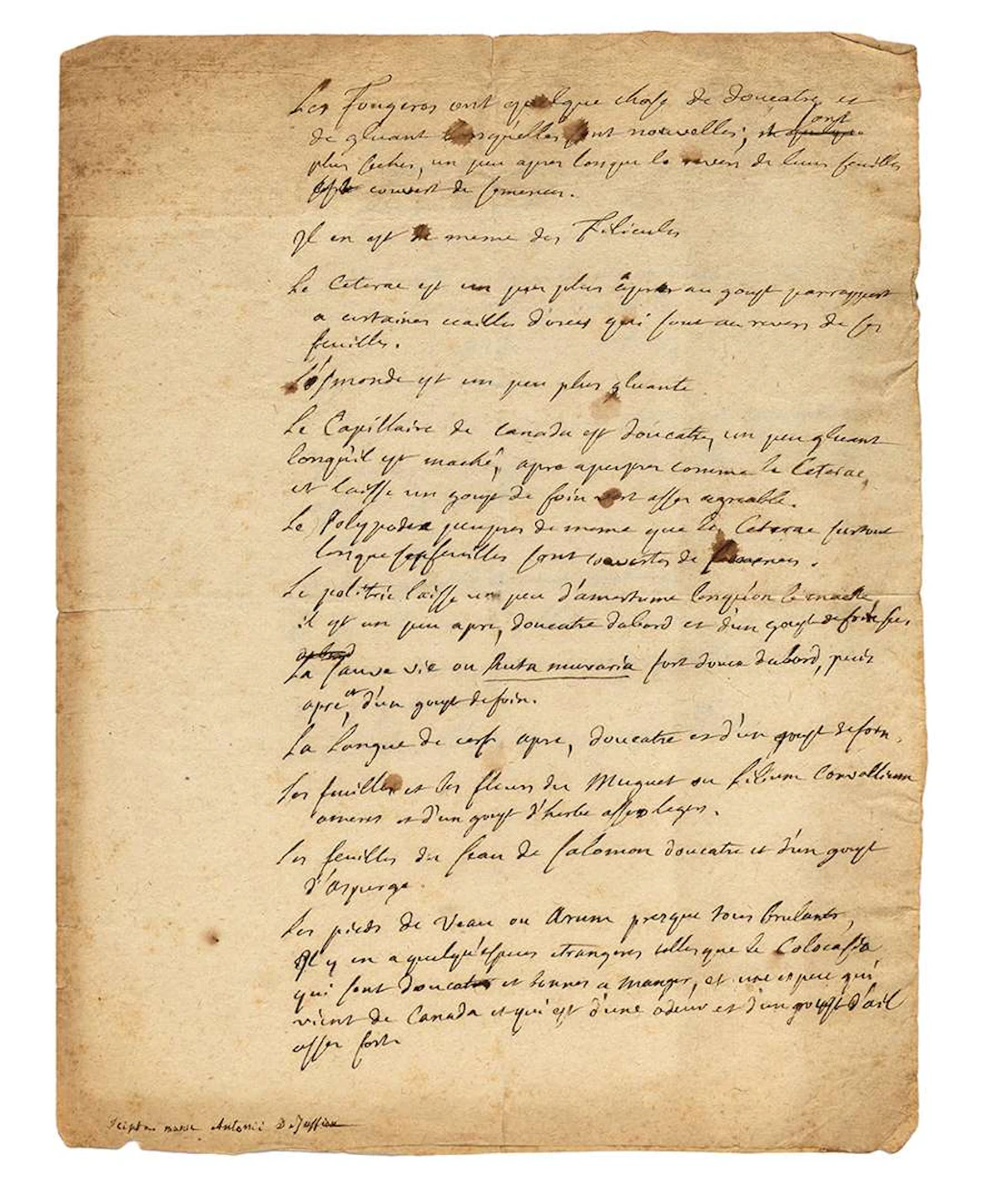 Antoine de JUSSIEU (1686–1758), botanist., Autograph manuscript; one