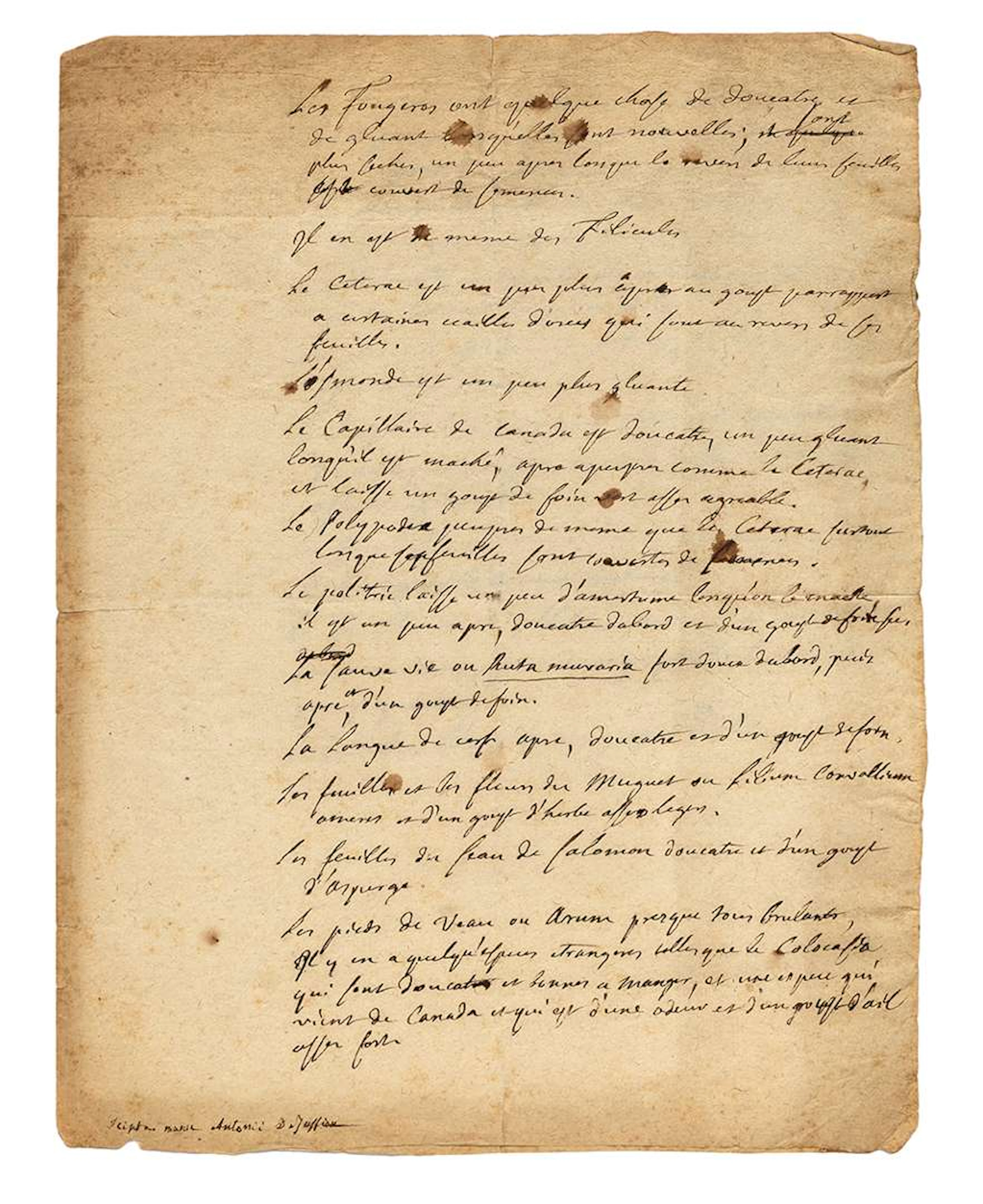 Antoine de JUSSIEU (1686–1758), botanist., Autograph manuscript; one