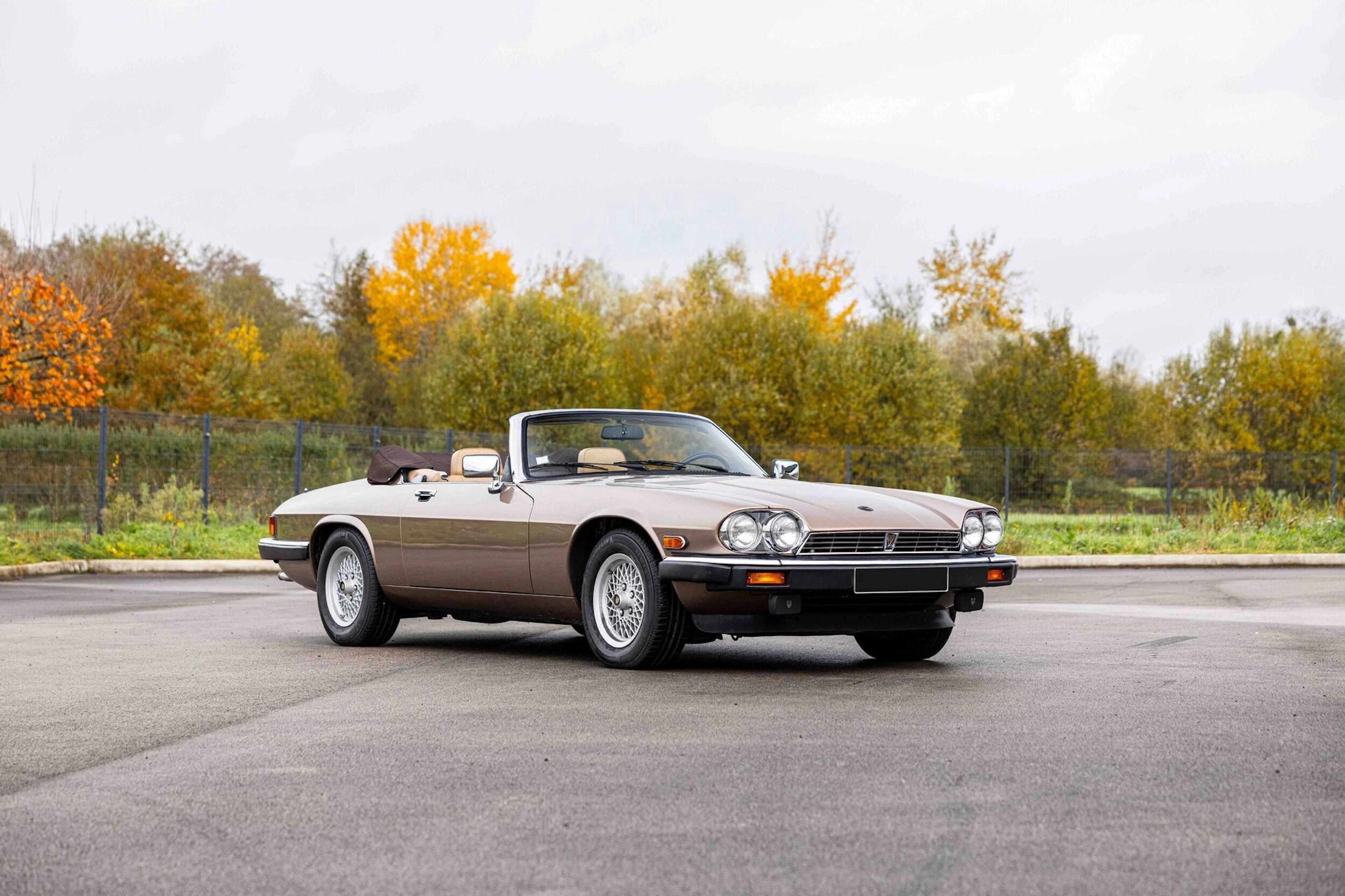 1990 - Jaguar XJS V12 Cabriolet - Lot 29