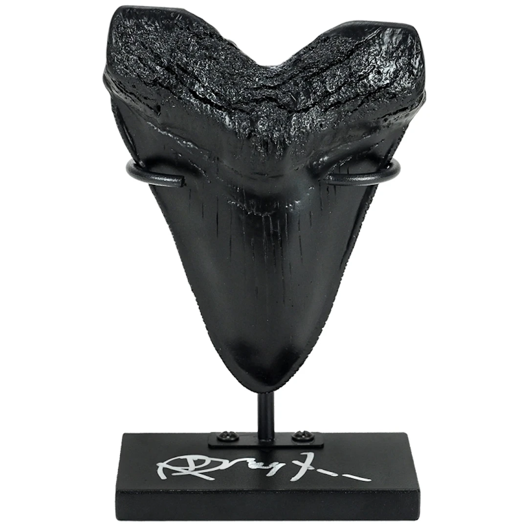 Richard Dreyfuss Autographed Jaws Megalodon Tooth Display, All, >