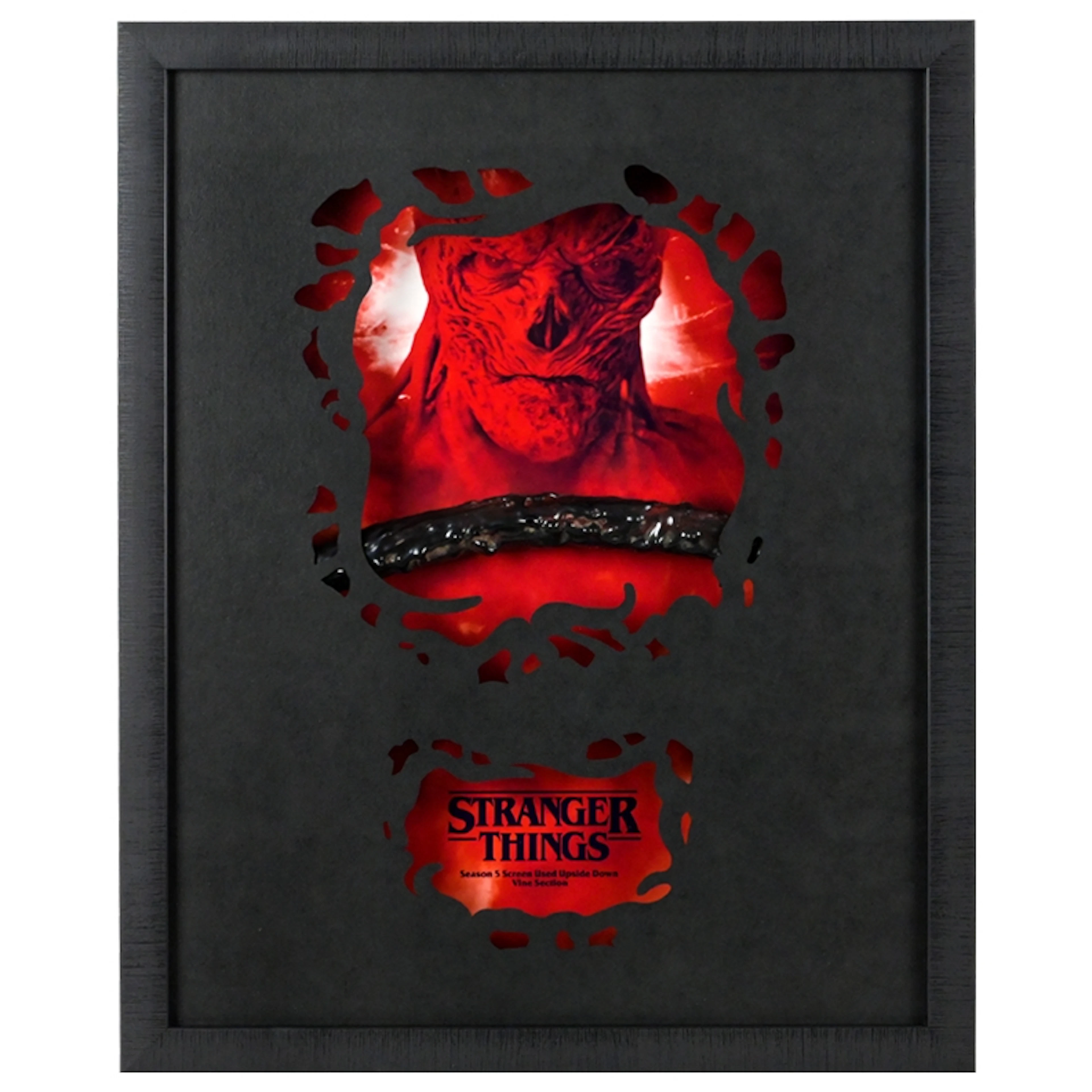 Stranger Things Season 5 Screen Used The Nether Vine Framed Display