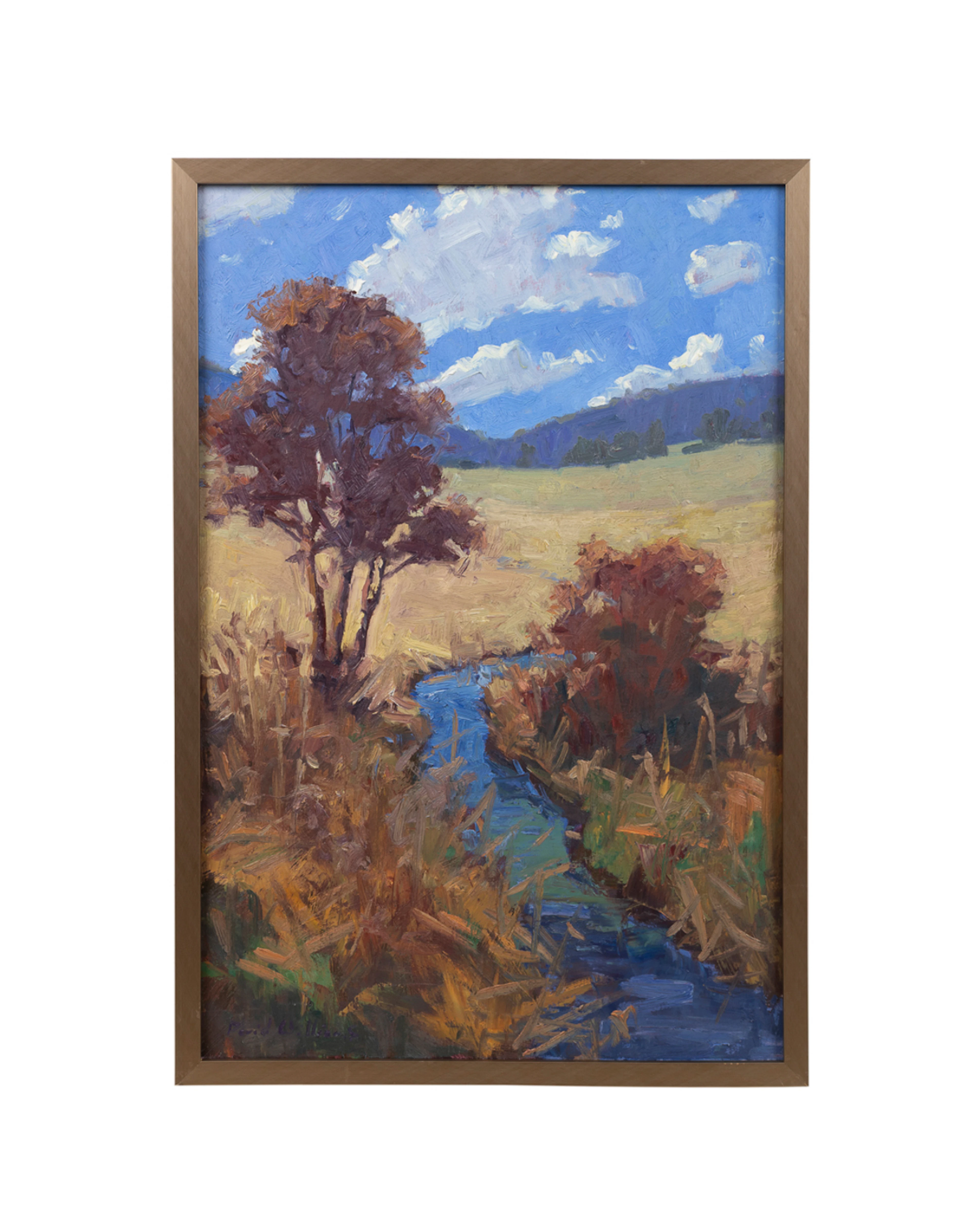 David A. Williams, "Sky Meadow Stream", 21st C.