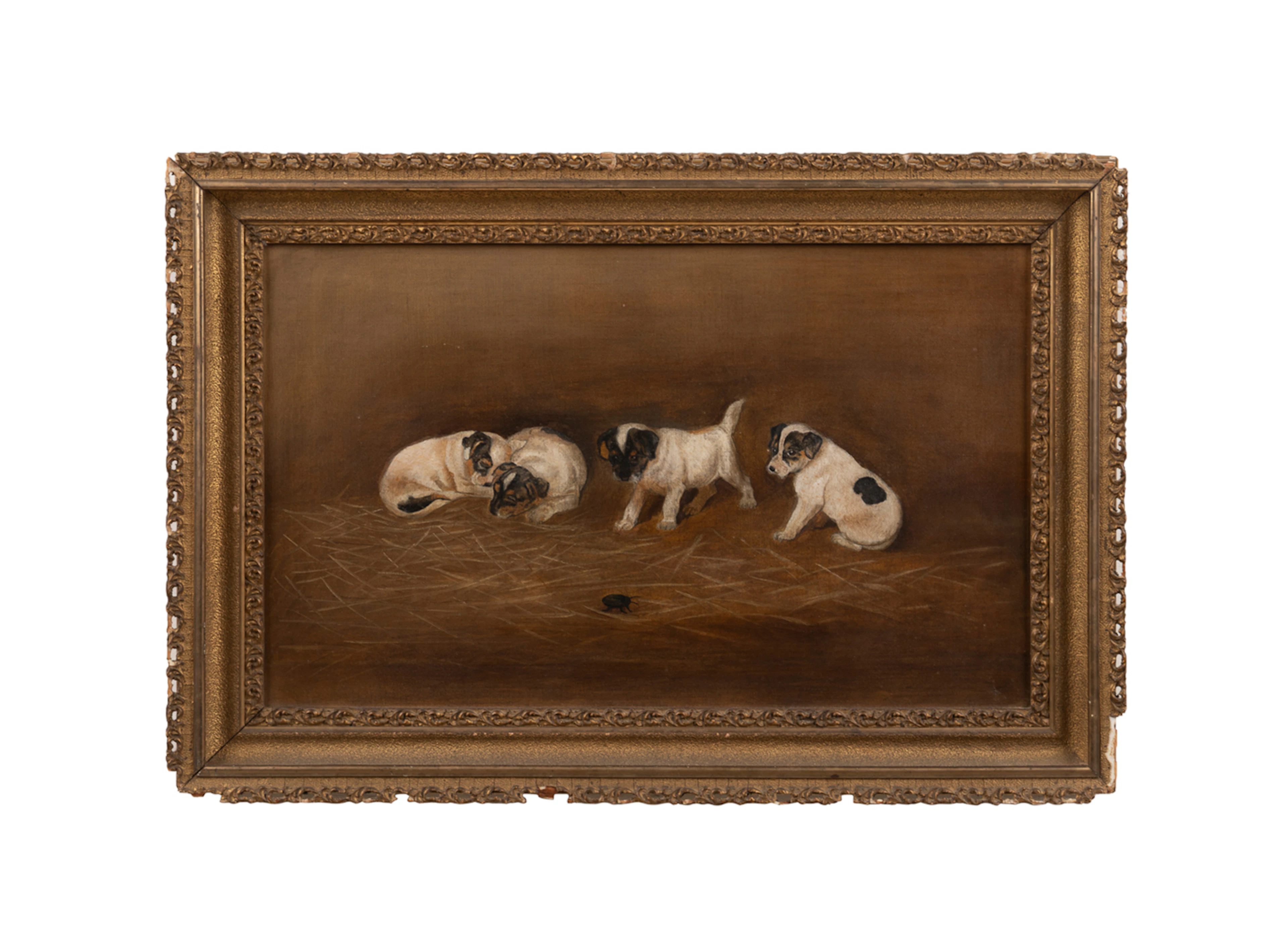 American School, Terrier Puppies, 20th C., O/C