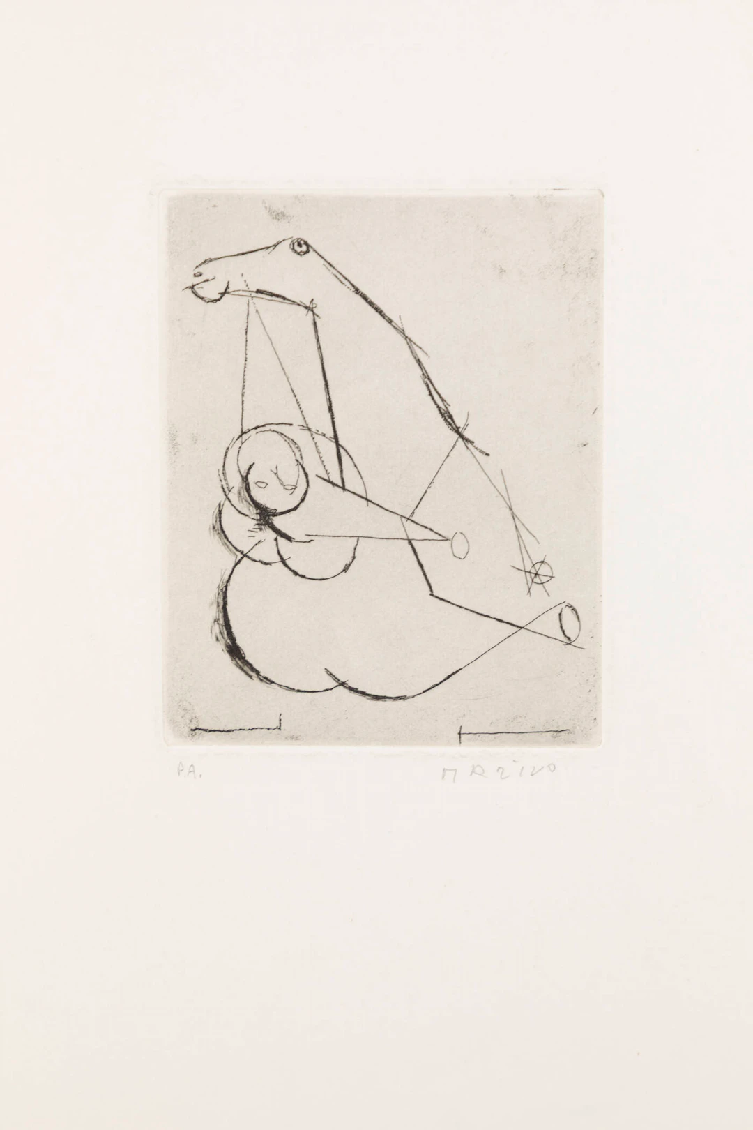 MARINO MARINI