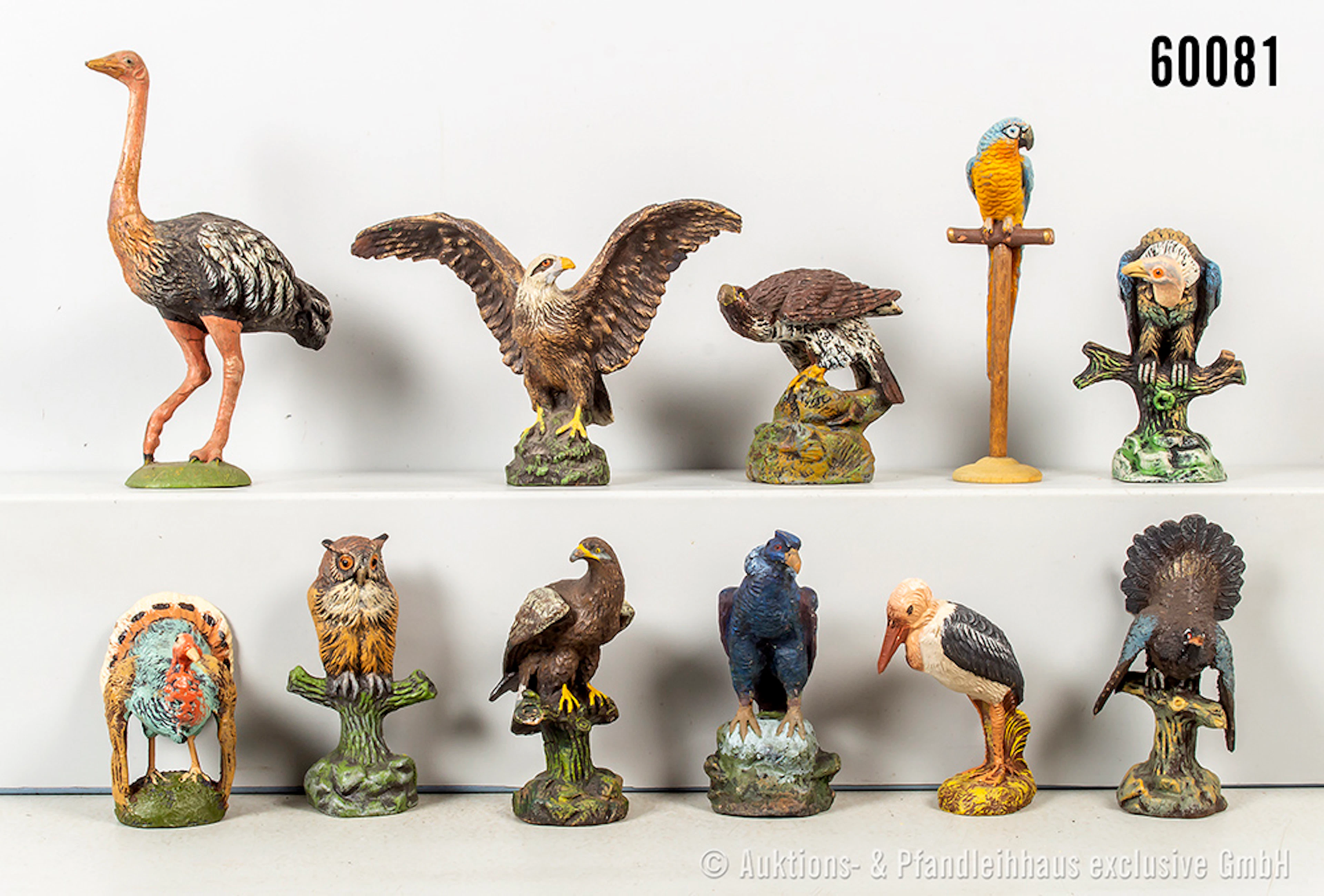 Federtiere, u.a. Papagei, Strauß Weißkopfseeadler, Kondor, Masse