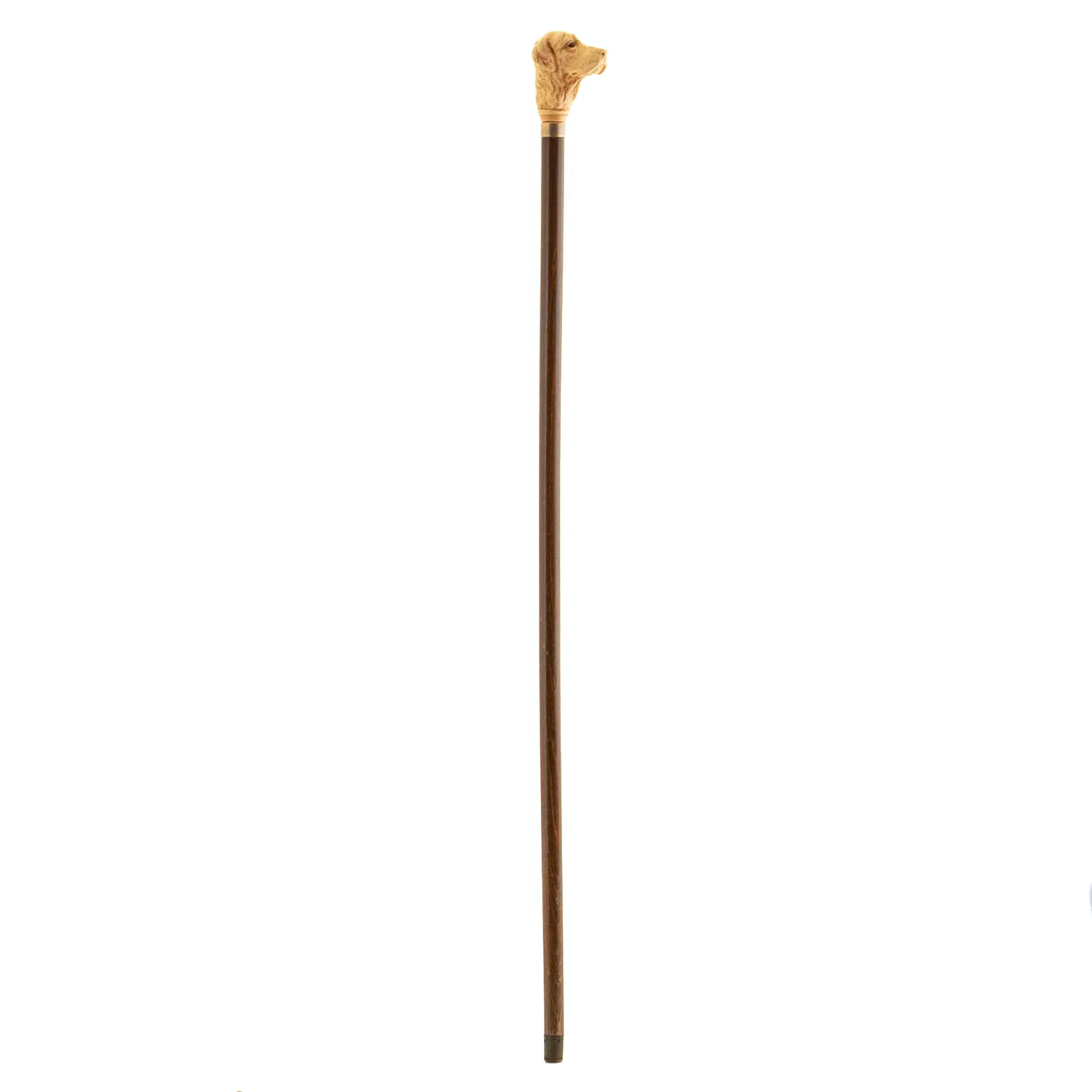KÄPP, 1900-tal