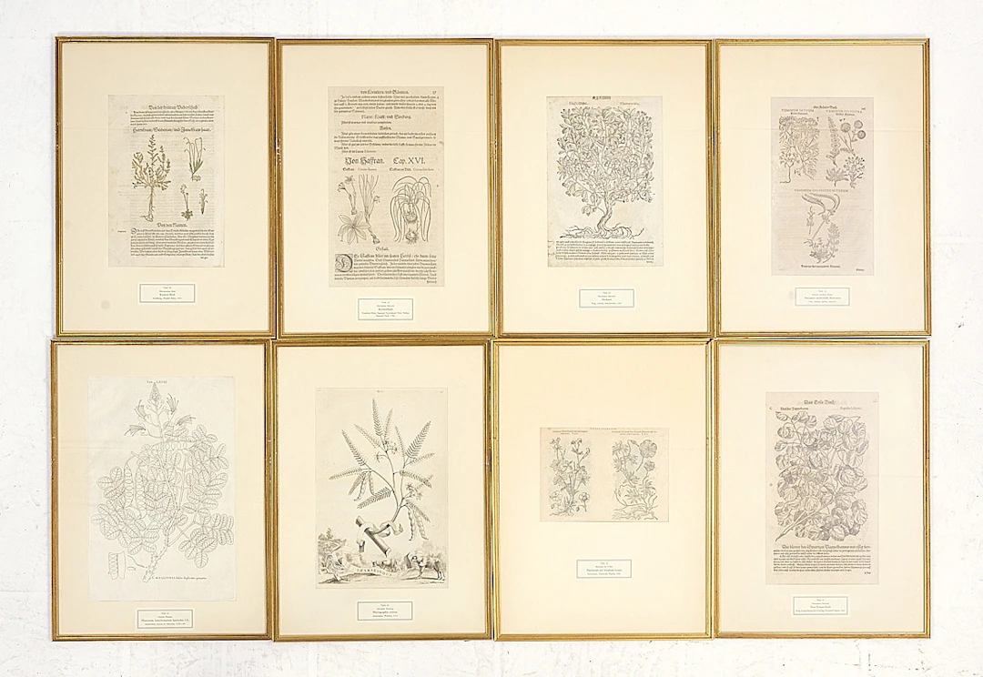 GRAVYRER/BOKBLAD, 8 st, 1500-1700-tal