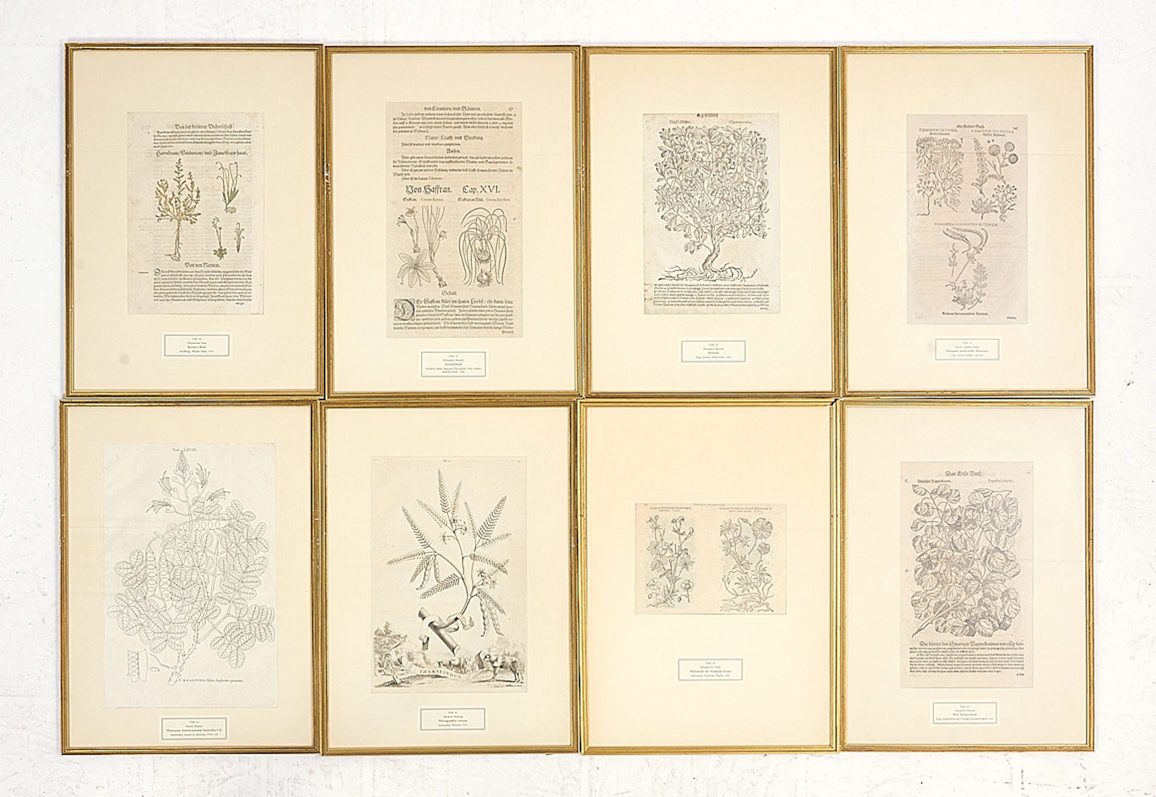 GRAVYRER/BOKBLAD, 8 st, 1500-1700-tal