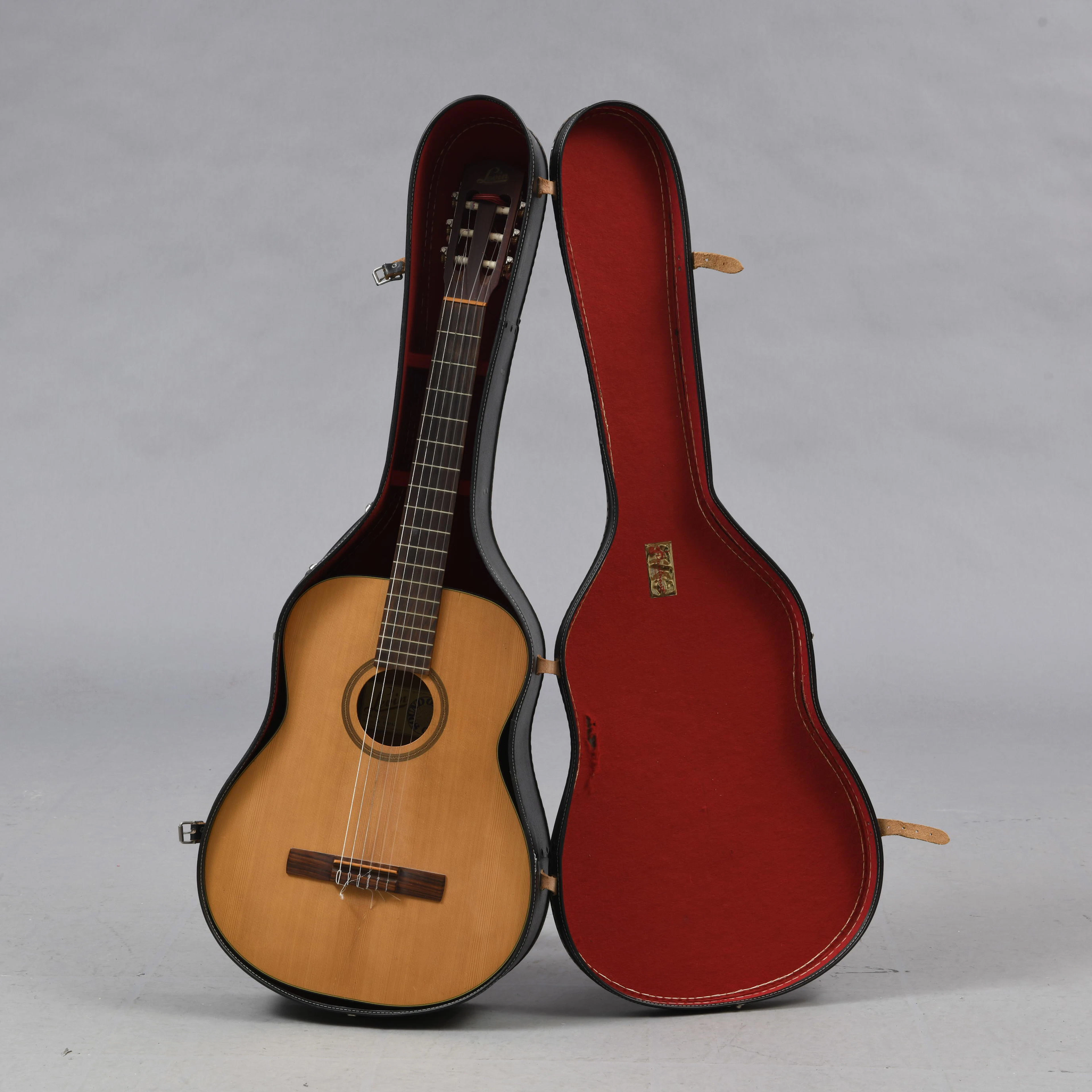 GITARR, Levin