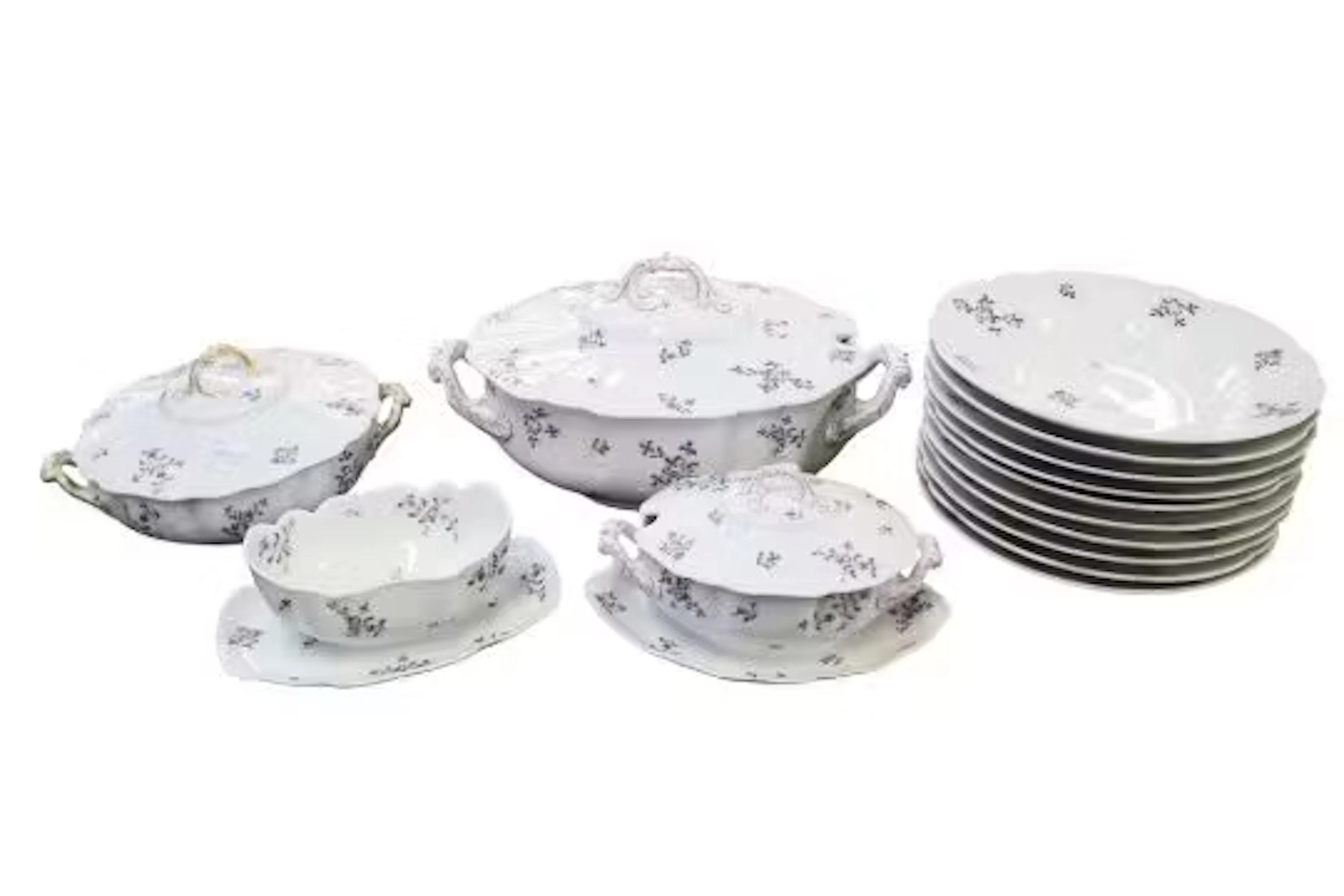 A Limoges Haviland & Co porcelain tableware.