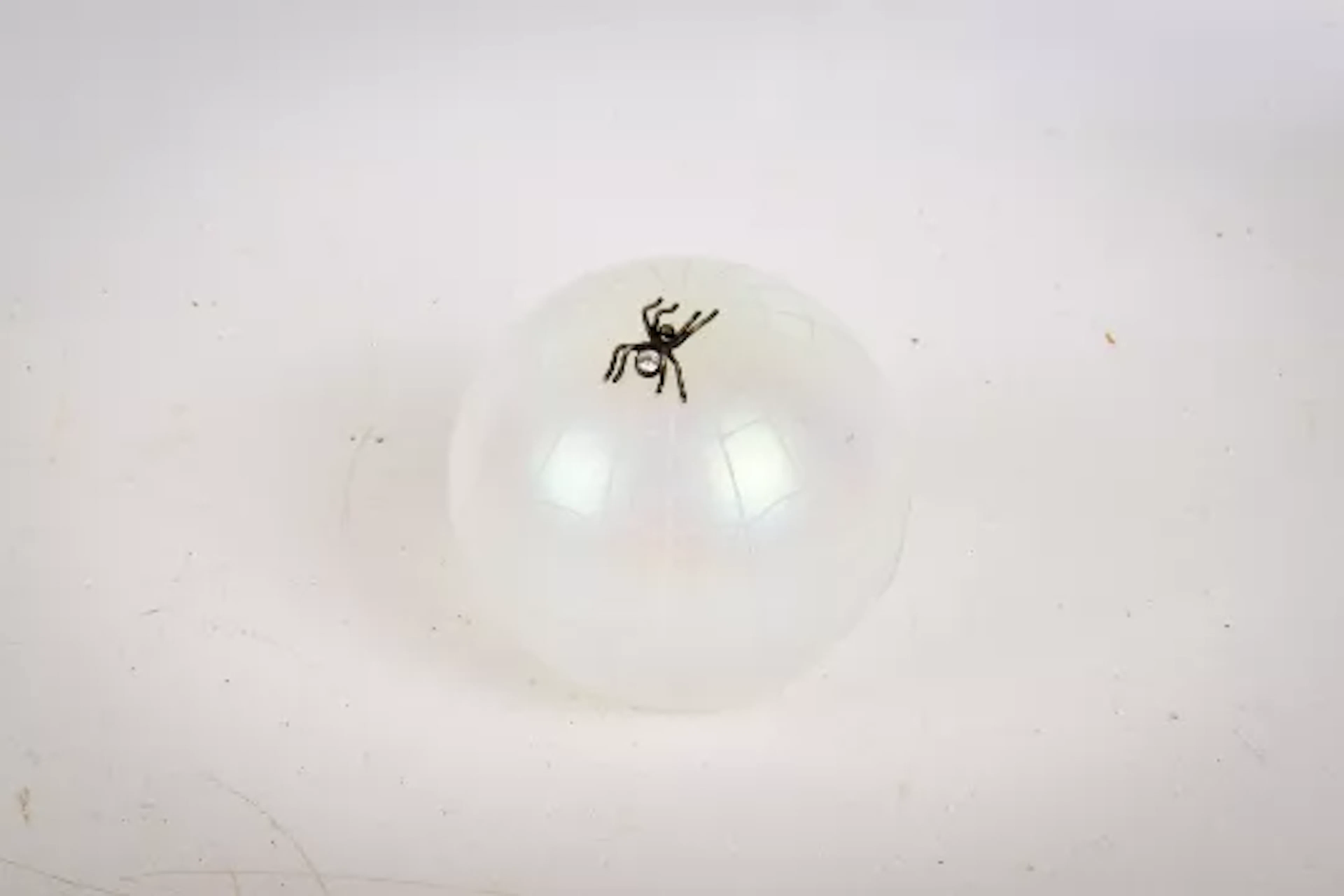 A John Ditchfield for Glassform glass paperweight.