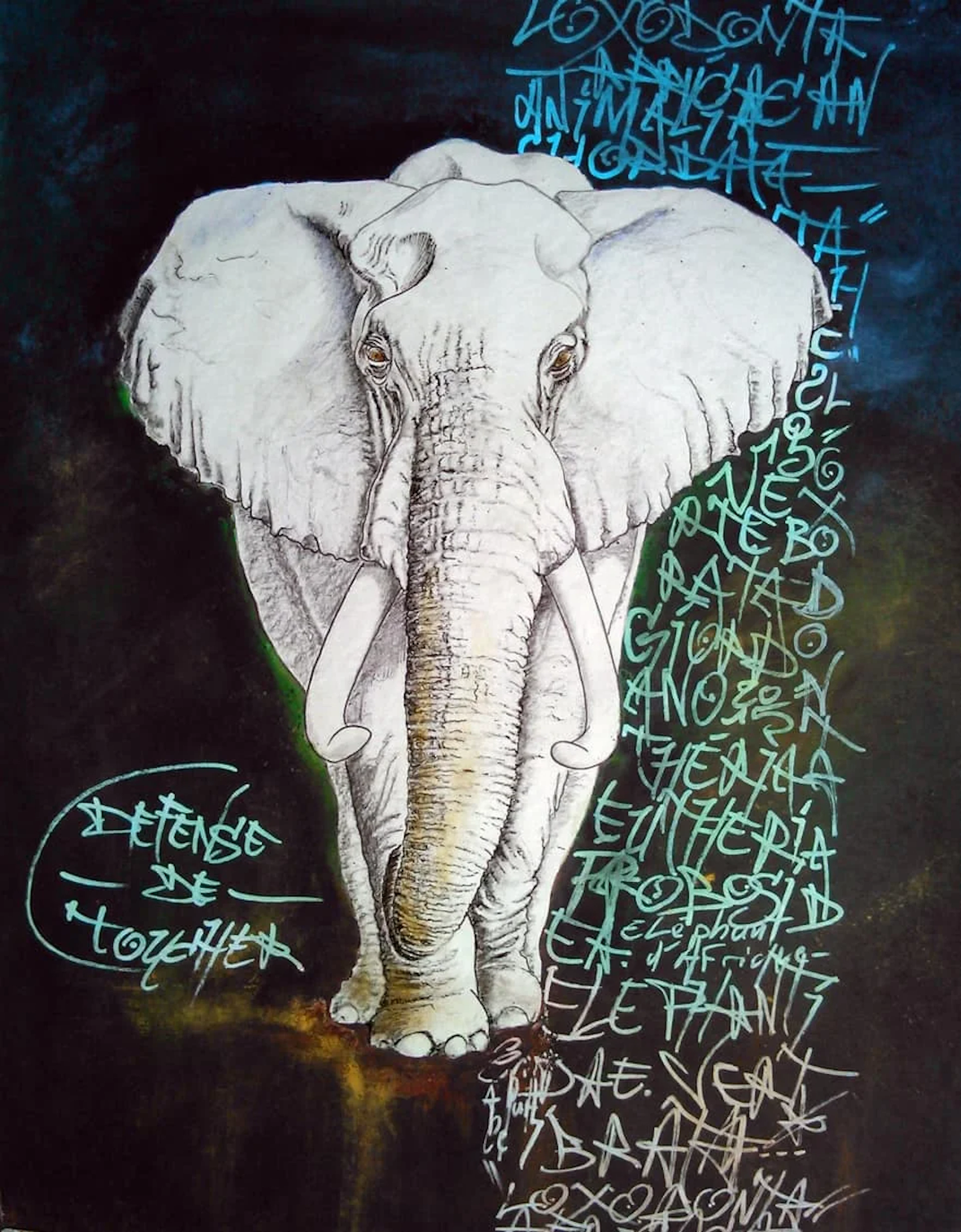 Loxodonta Africana (1)