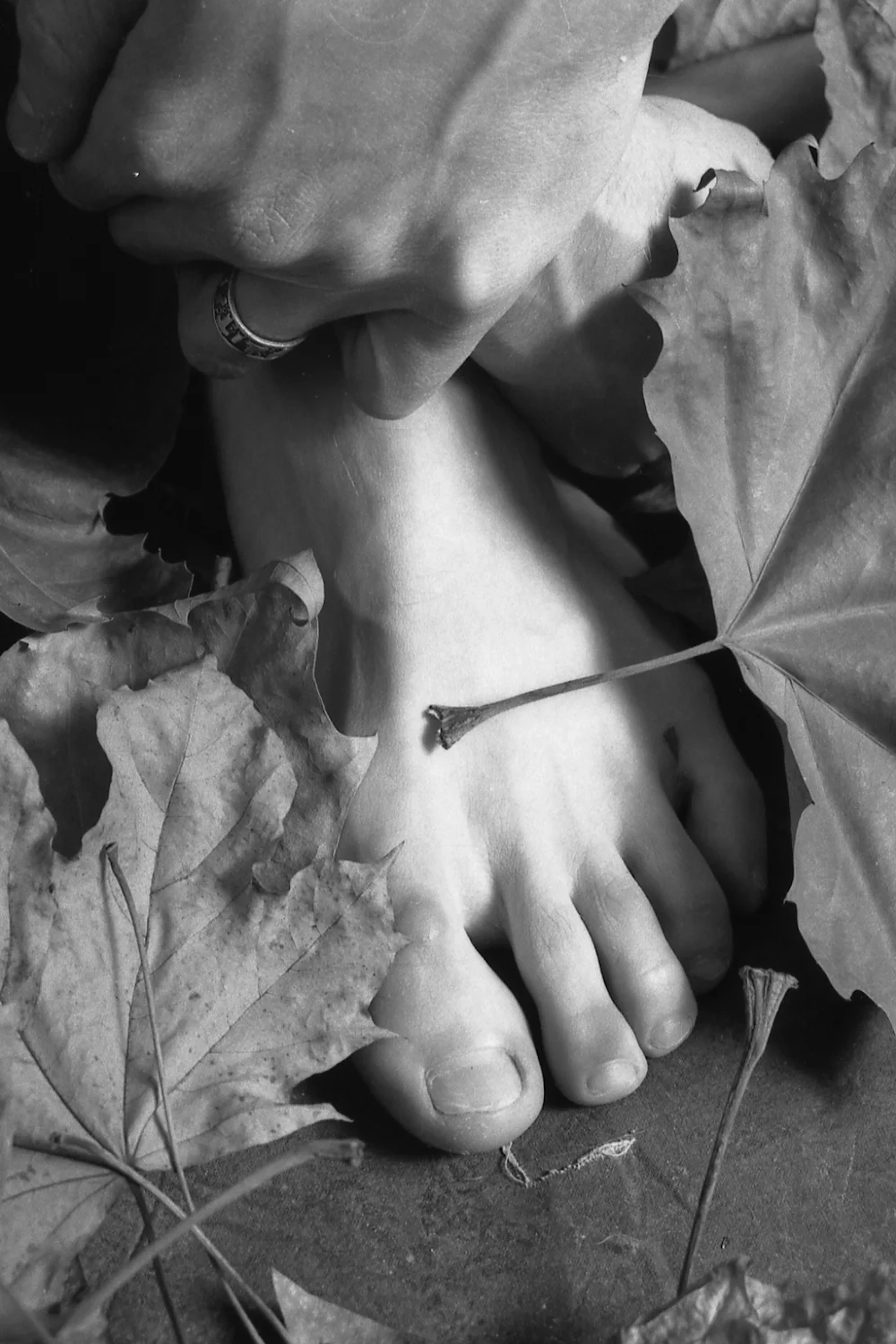 A L’Automne