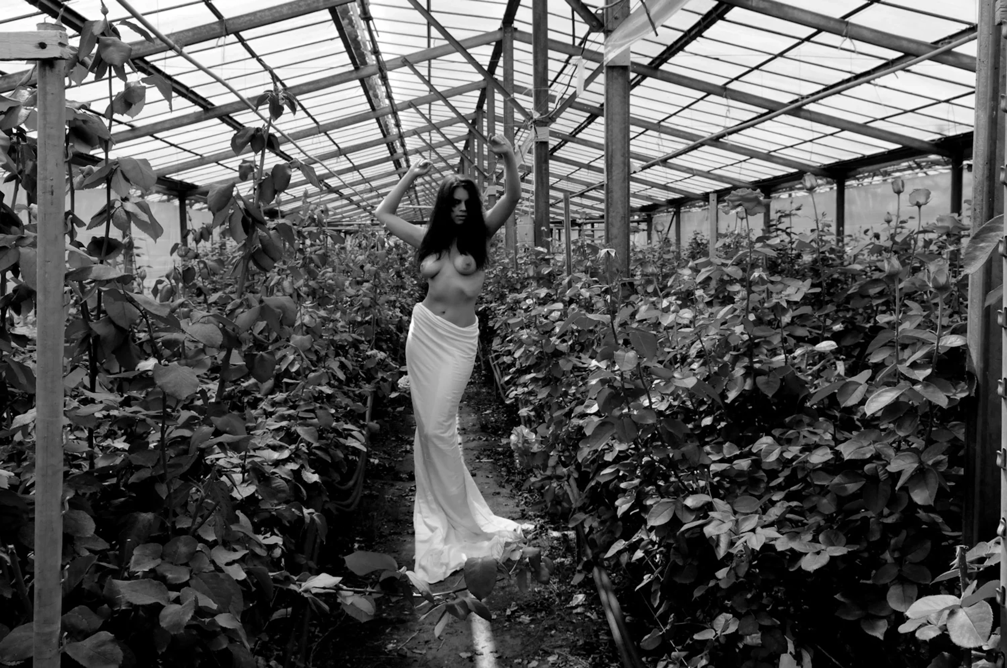 La Reine des Roses