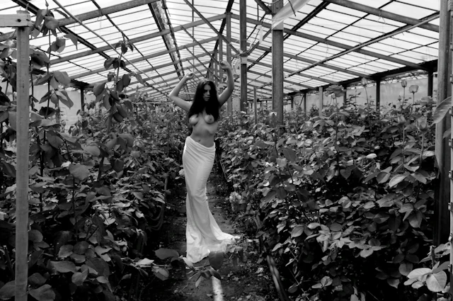 La Reine des Roses