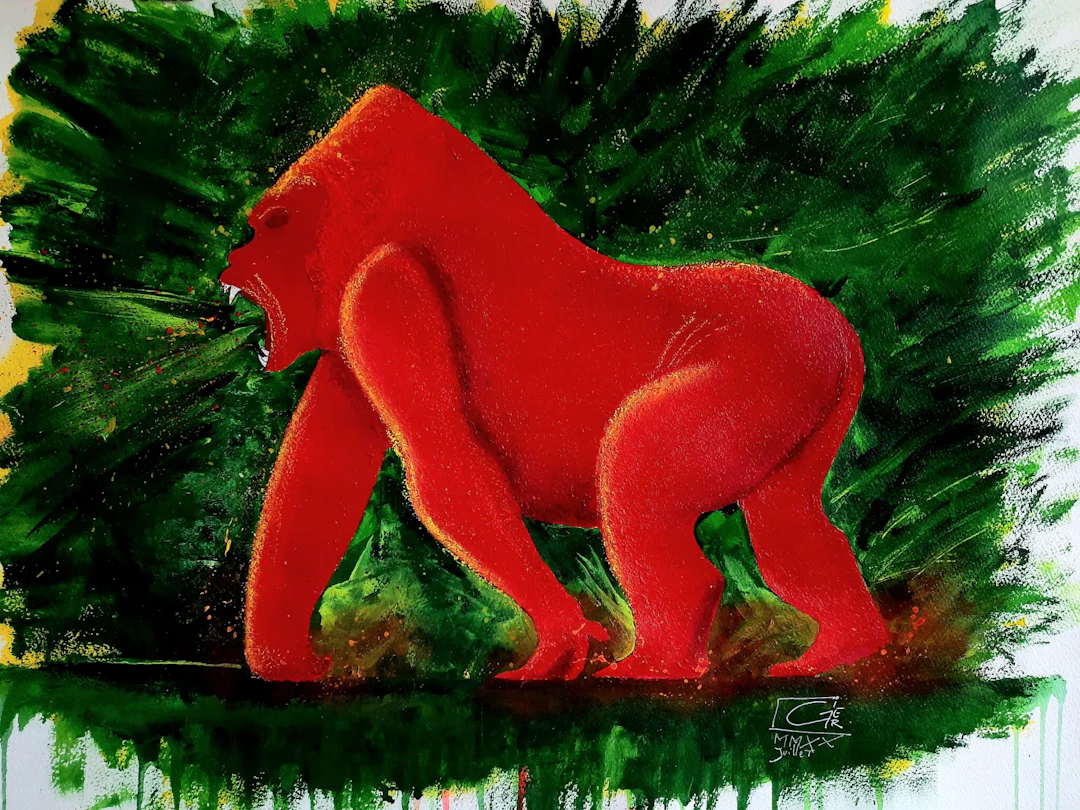 Gorilla Berengei Berengei