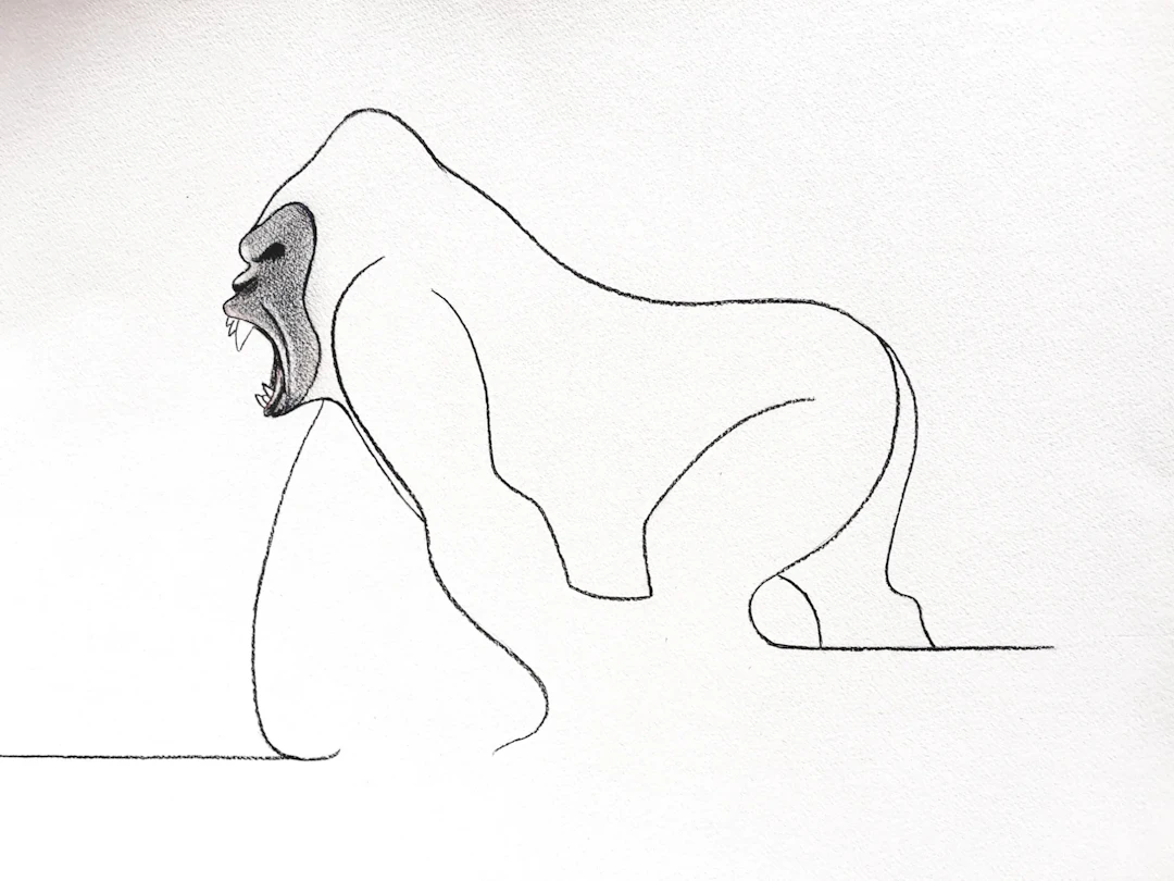 Gorilla Berengei
