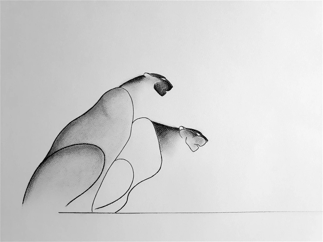 Panthera Pardus (8)