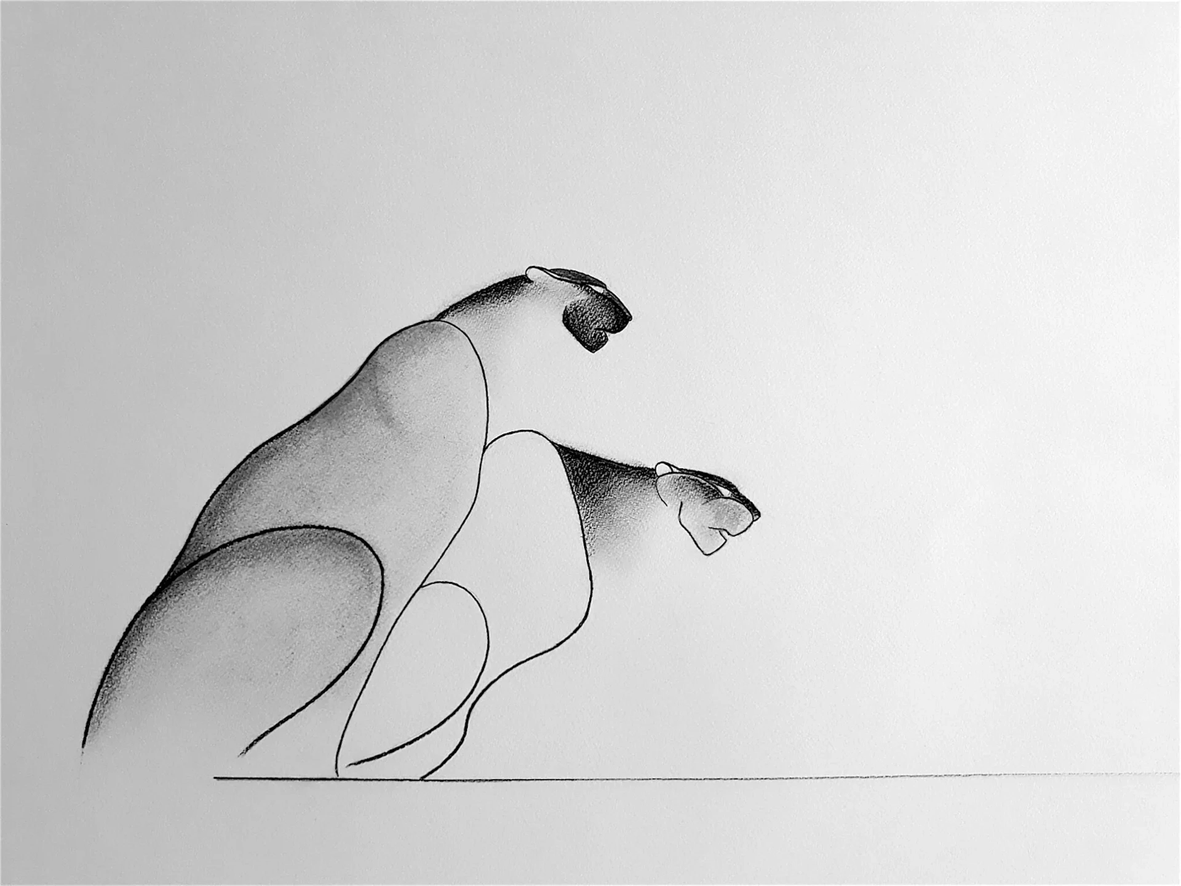 Panthera Pardus (8)