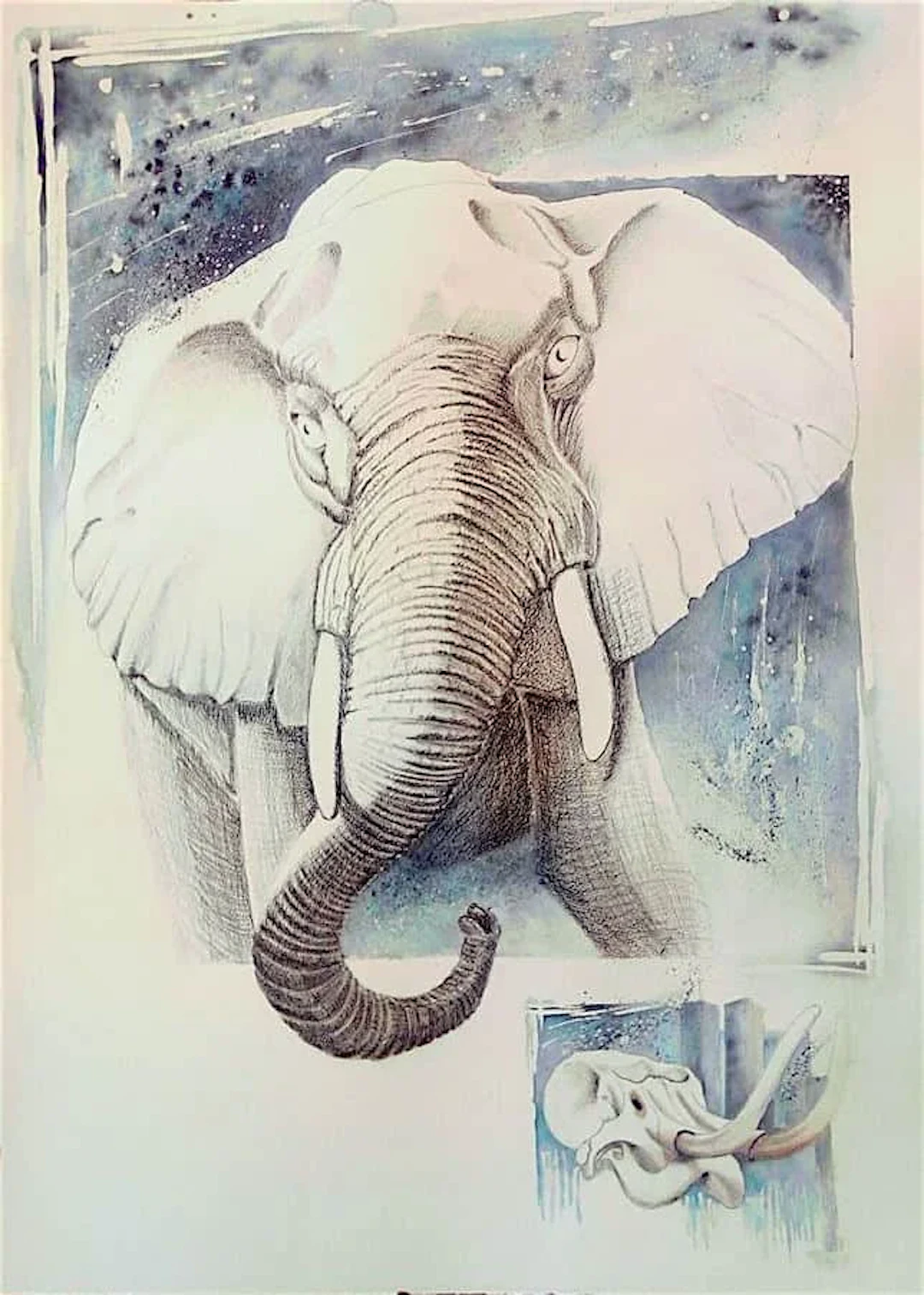 Loxodonta Africana (3)